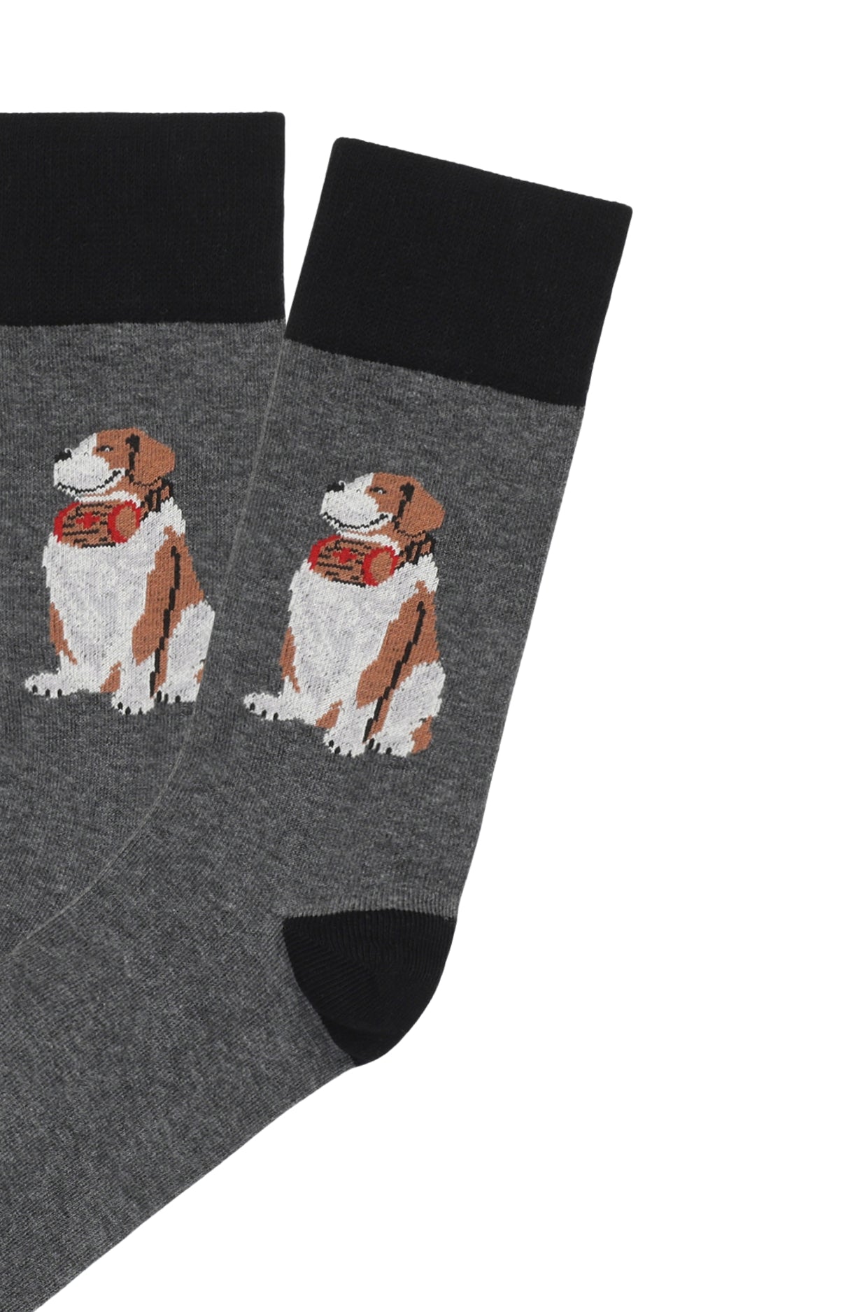 Chaussettes homme gris chien saint bernard 2