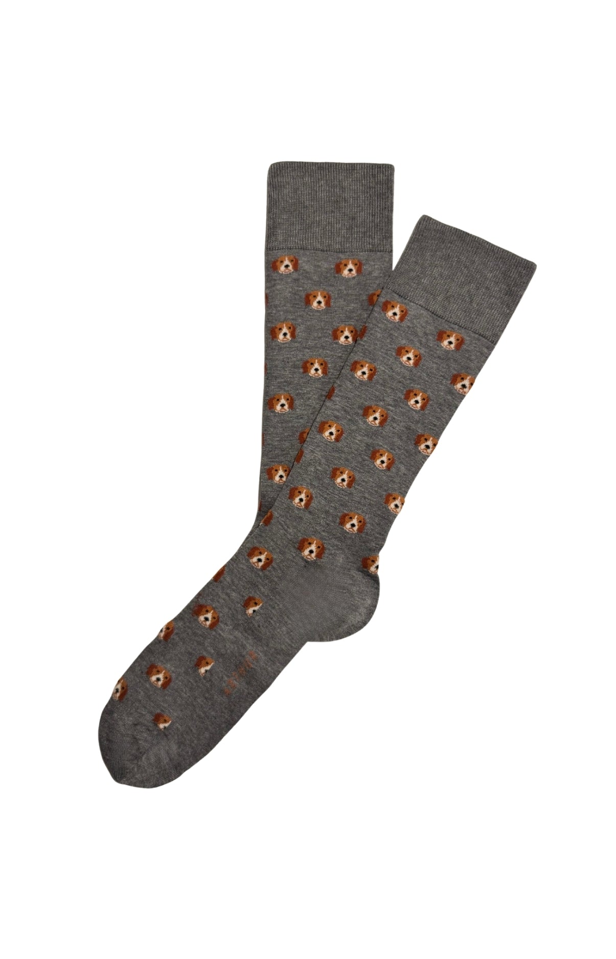 Chaussettes coton copain beagle homme 1
