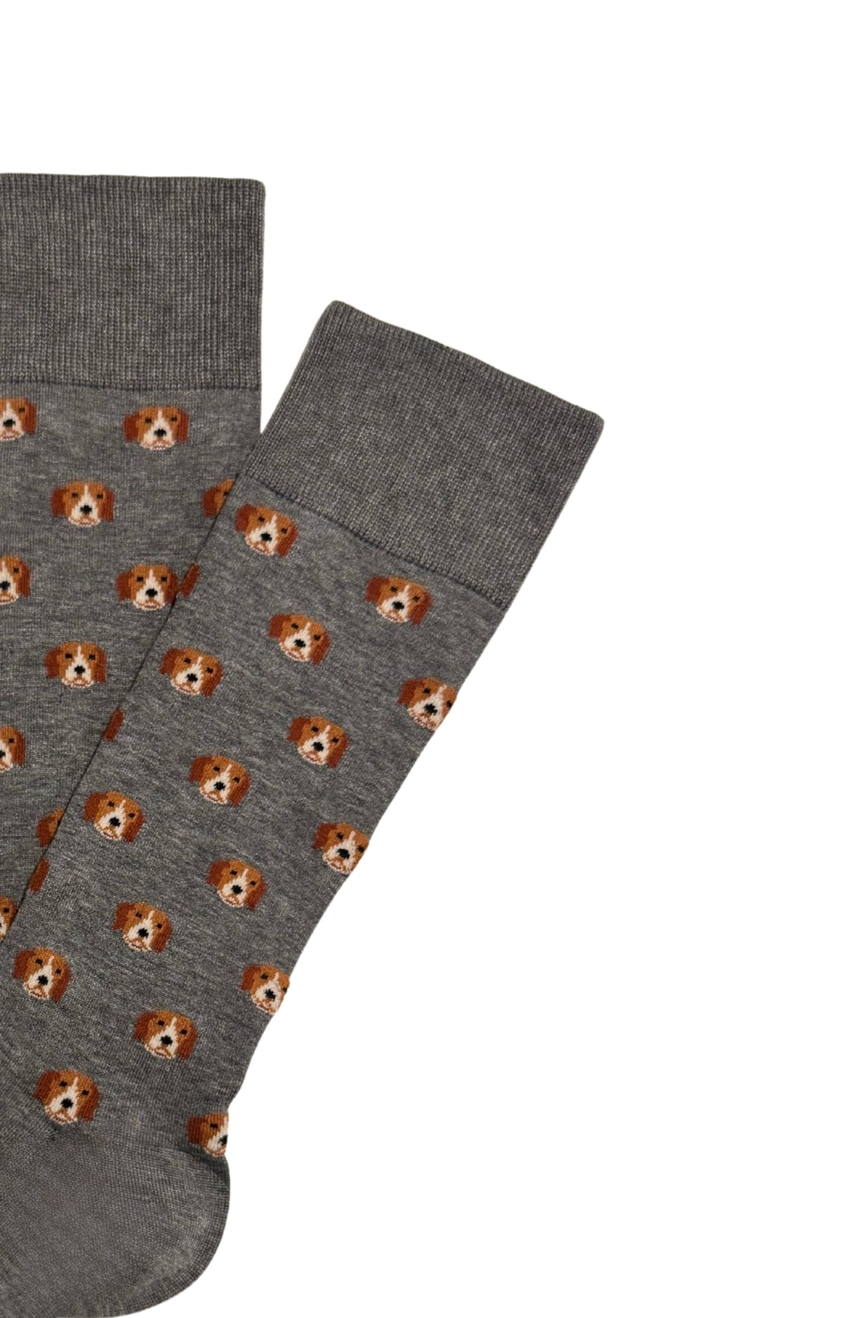Chaussettes coton copain beagle homme 2