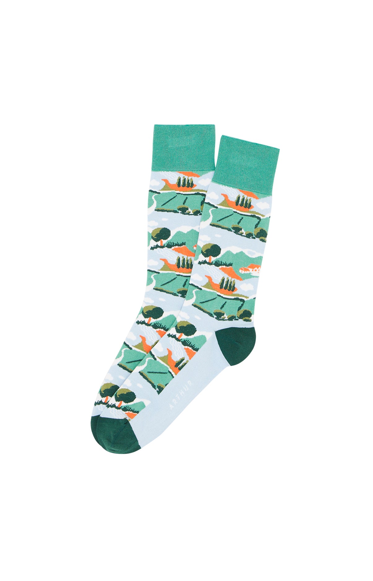 Chaussettes Homme Campagne Vert 1