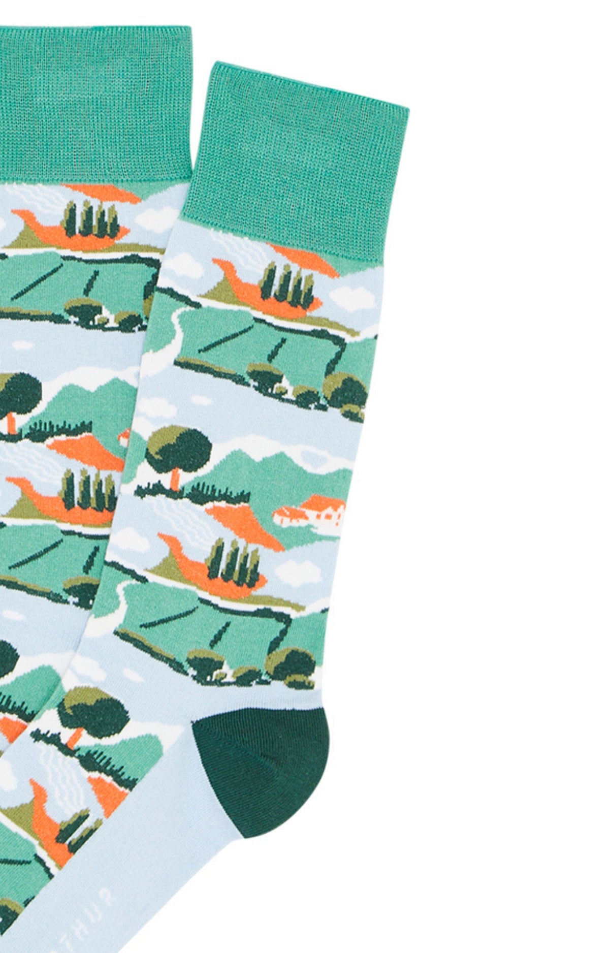 Chaussettes Homme Campagne Vert 2