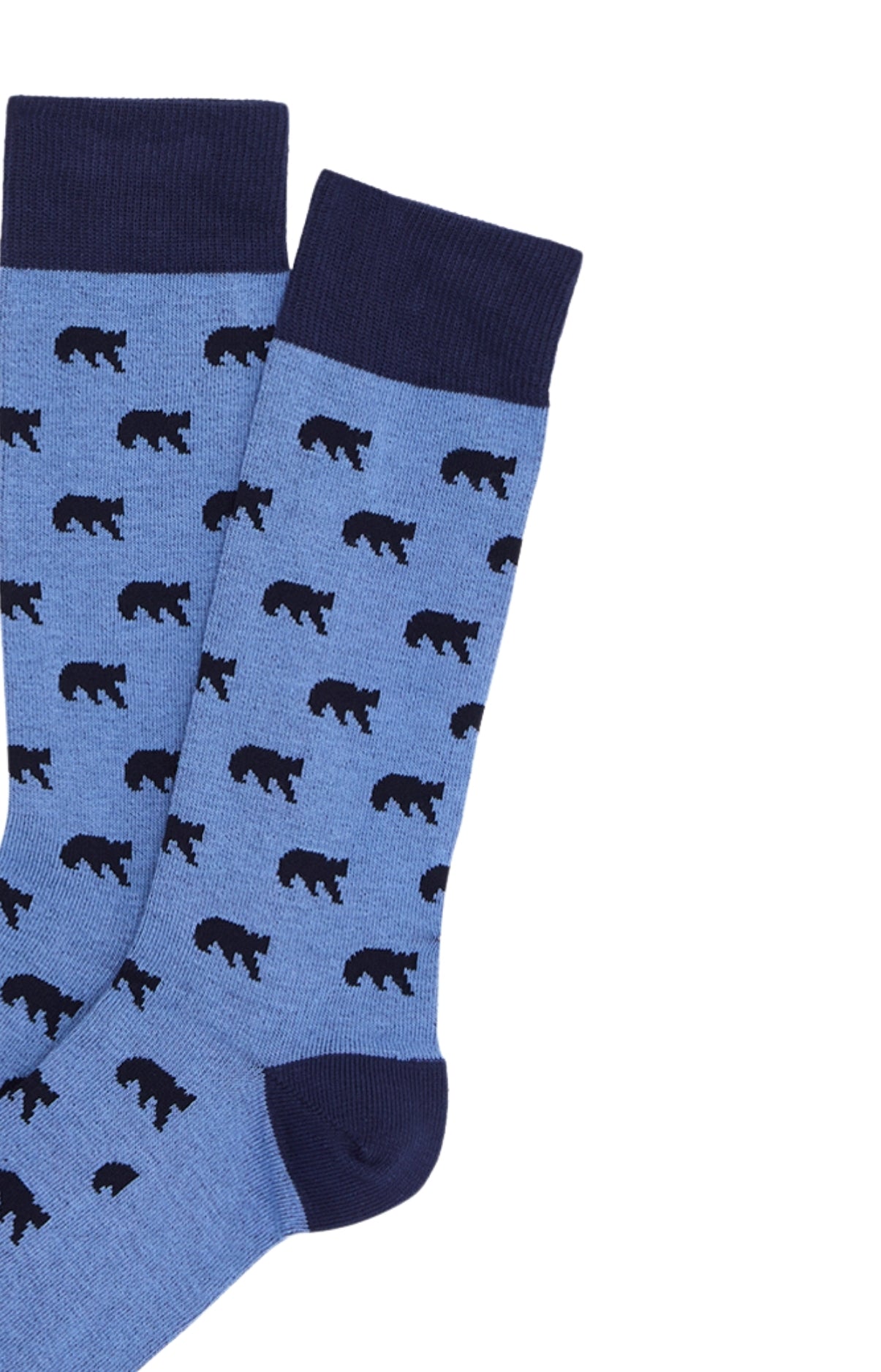 Chaussettes homme bleu petits motifs ours 2