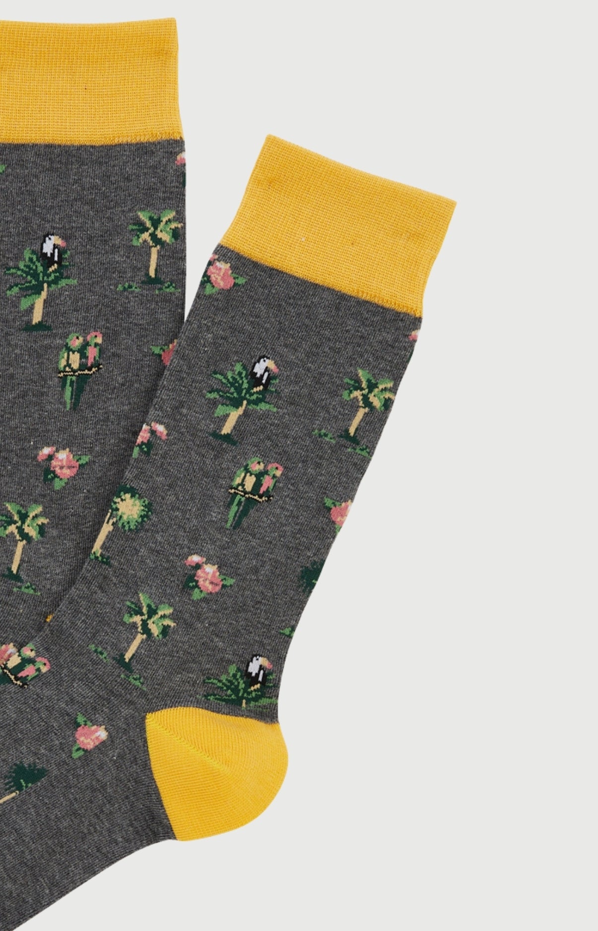 Chaussettes - Perroquet Gris