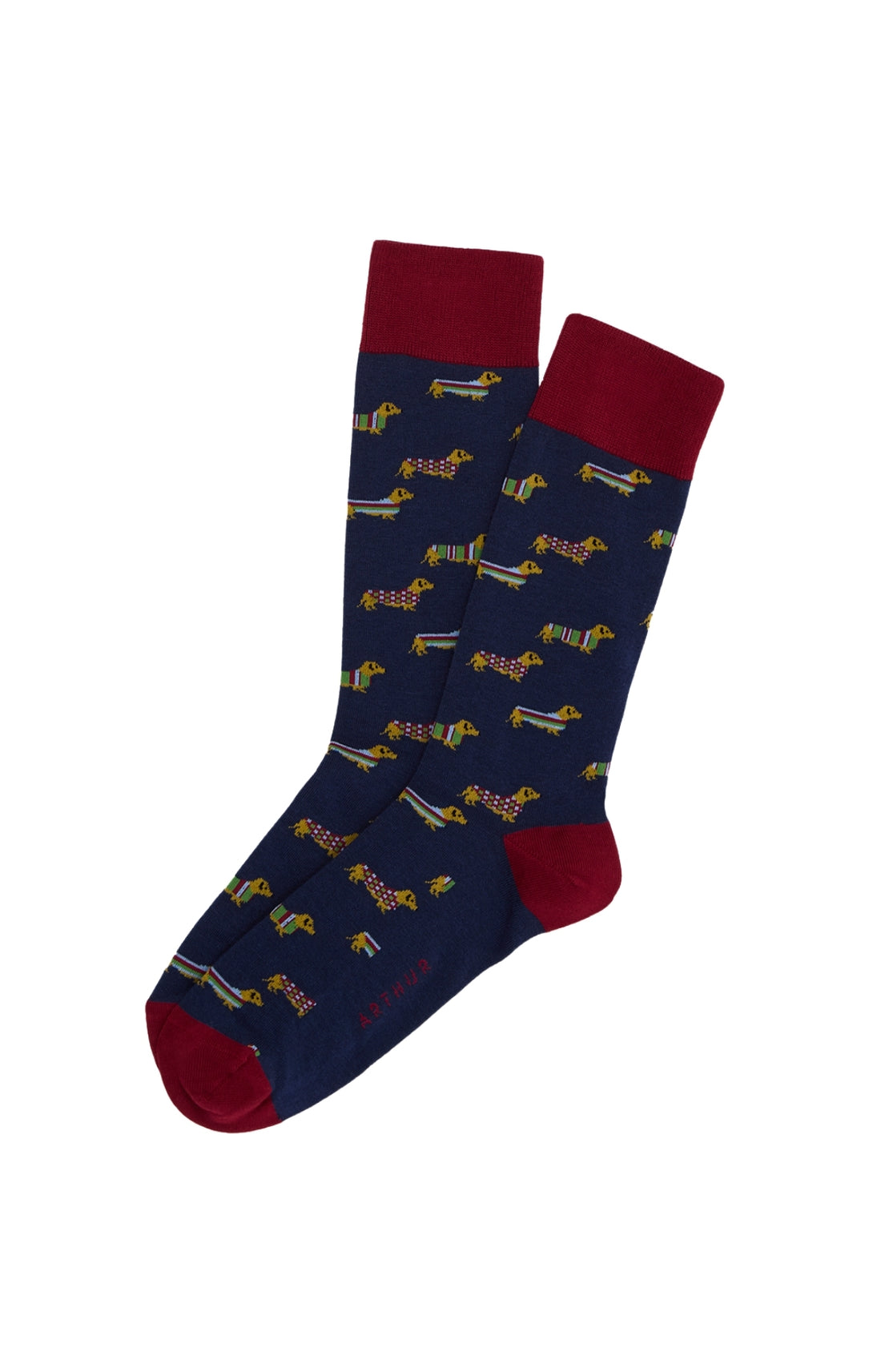 Chaussettes Homme Teckel Marine MARINE 1
