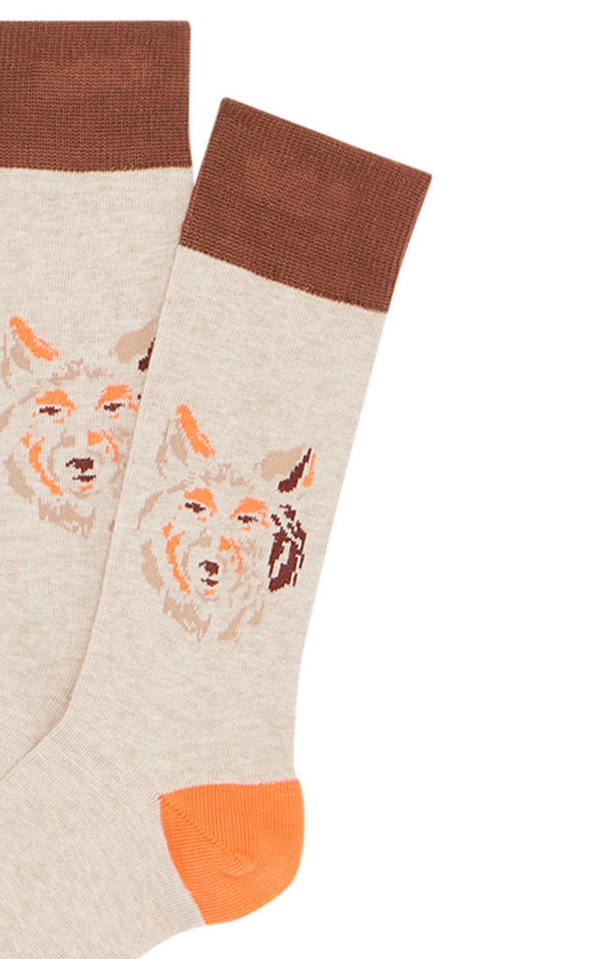 Chaussettes Homme Jeune loup Beige et Marron 2