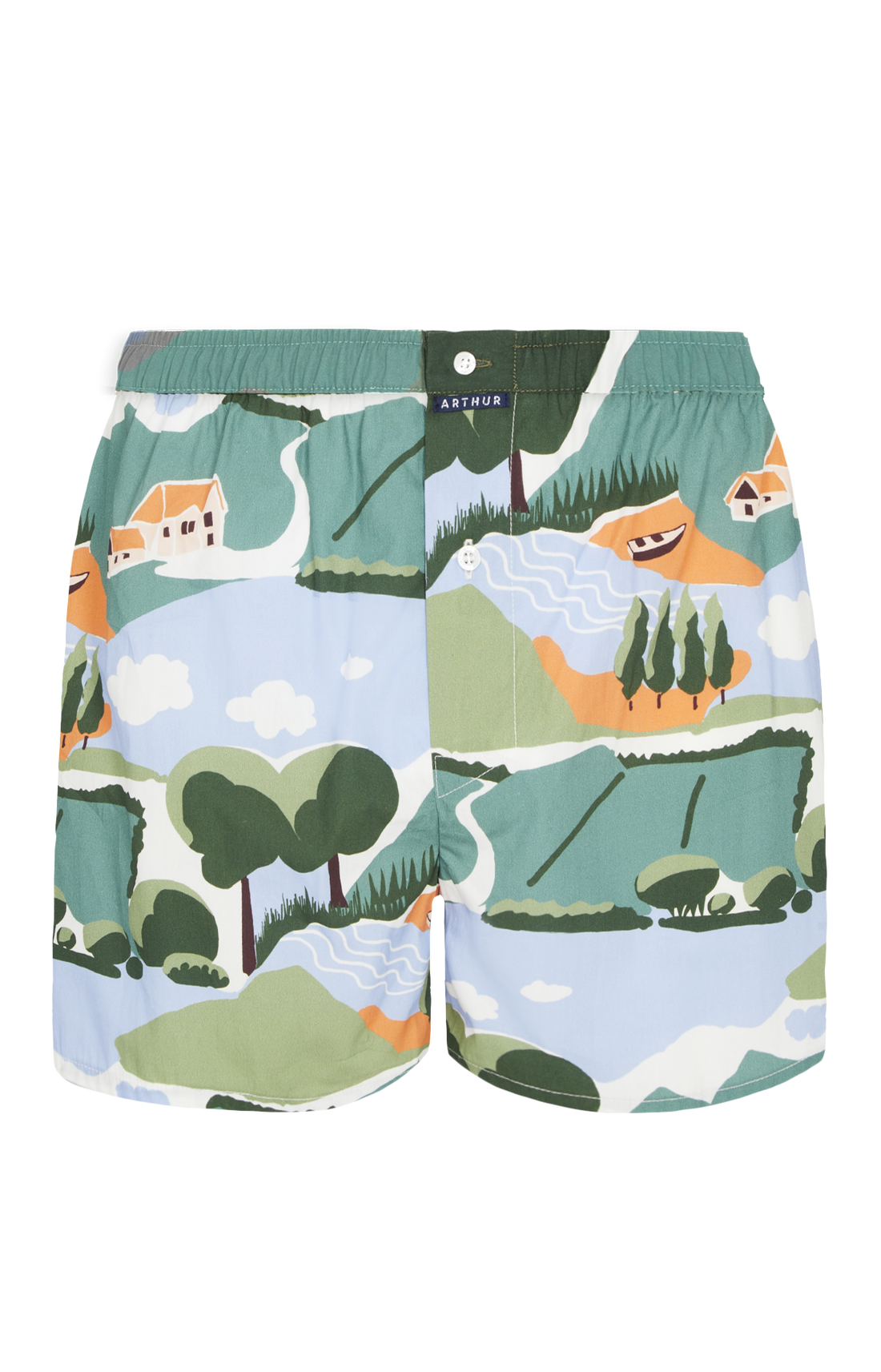 Caleçon classique Homme Campagne Vert 3