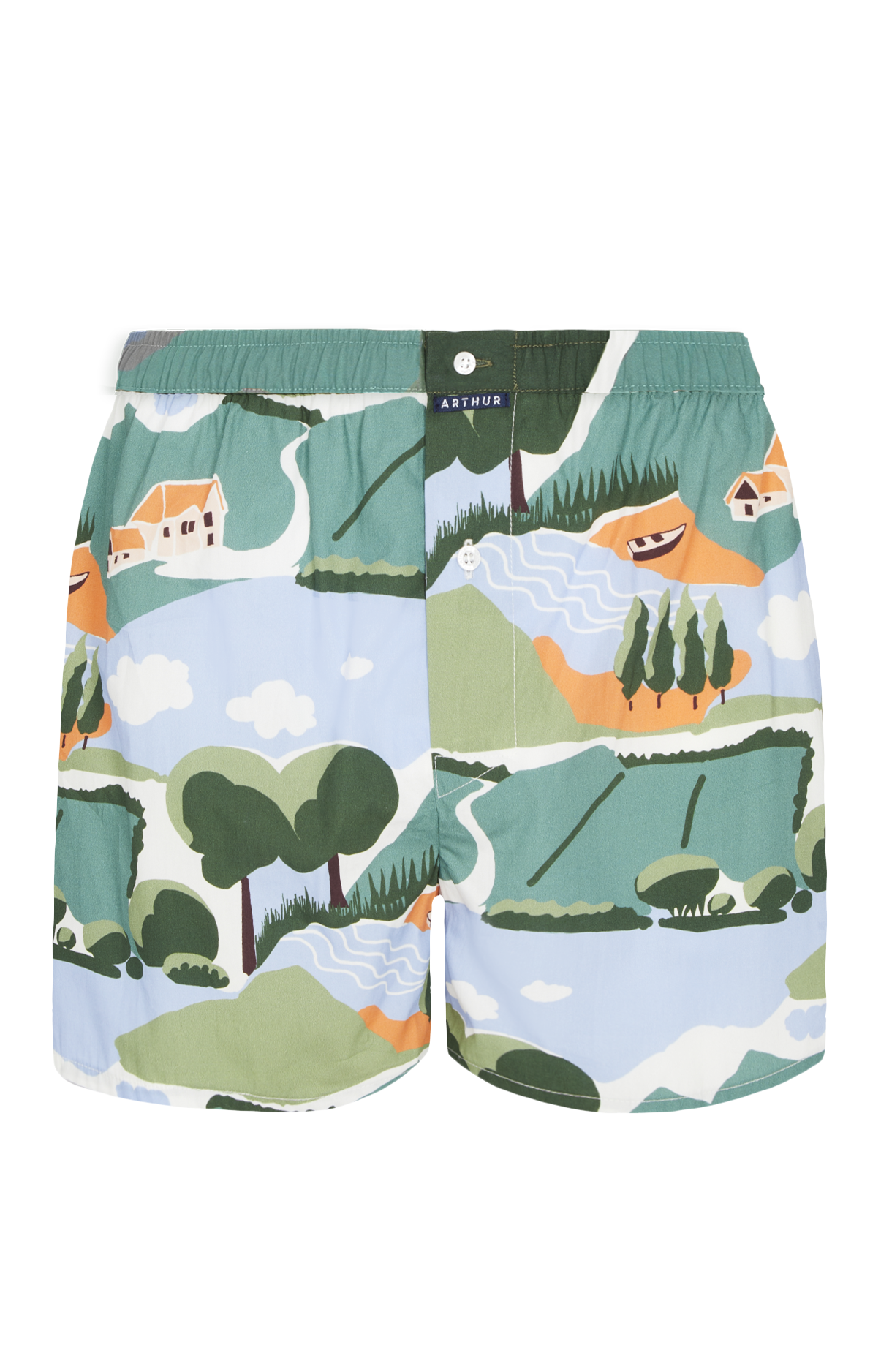 Caleçon classique Homme Campagne Vert 3
