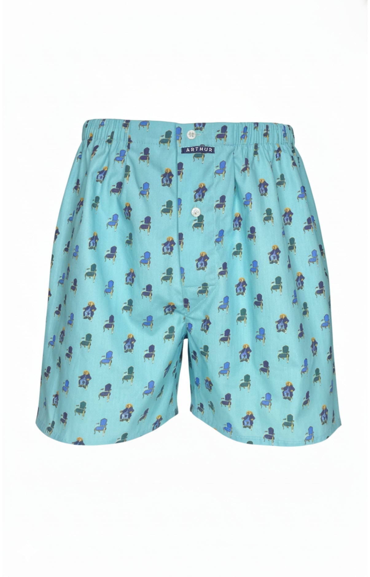 Caleçon classique homme Chien Fauteuil bleu 3