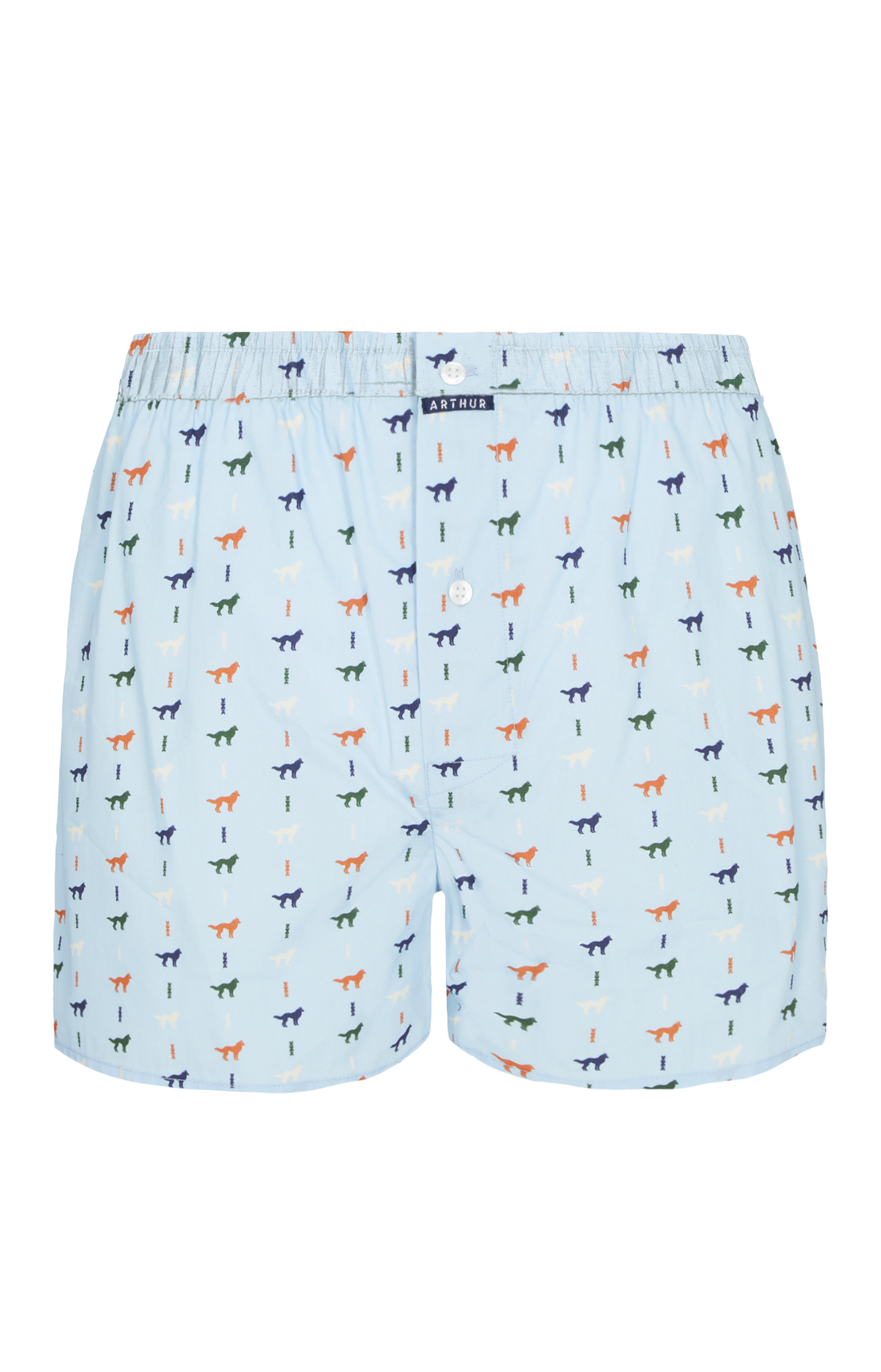 Caleçon classique Homme Jeune Loup Bleu 3
