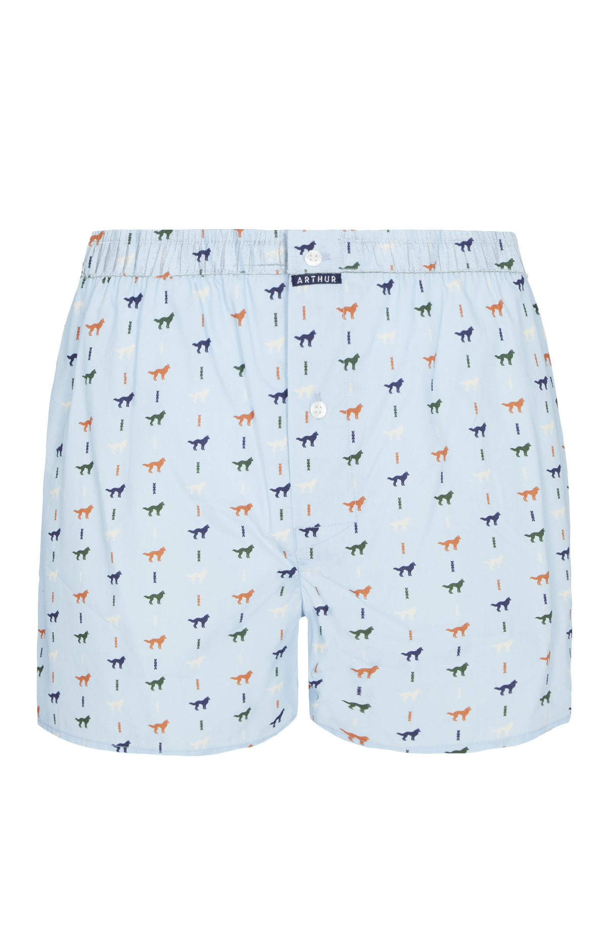 Caleçon classique Homme Jeune Loup Bleu 3