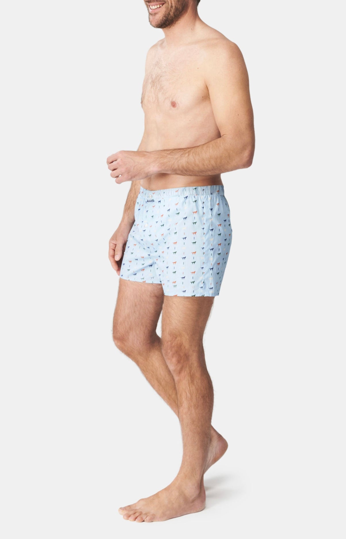 Caleçon classique Homme Jeune Loup Bleu 4