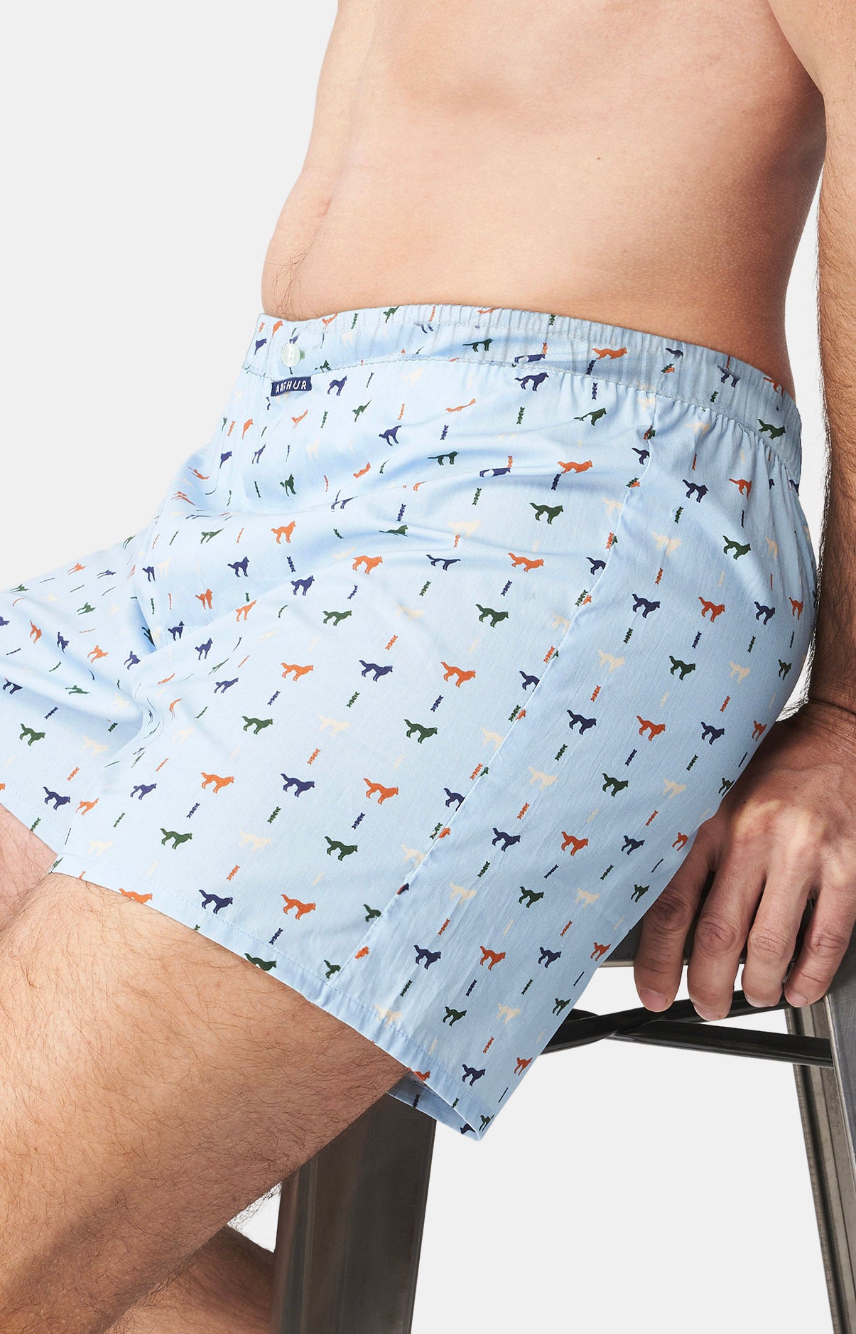 Caleçon classique Homme Jeune Loup Bleu 5