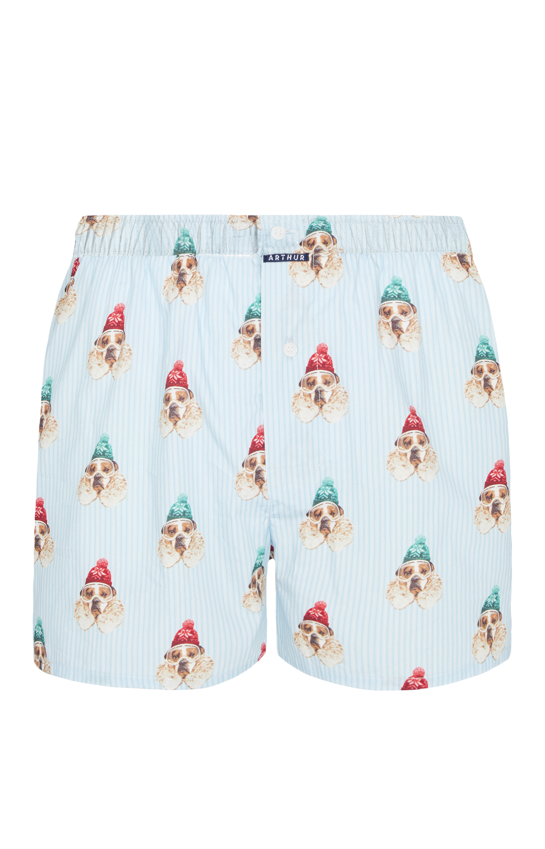 Caleçon classique Homme Chien des Montagnes Bleu 3