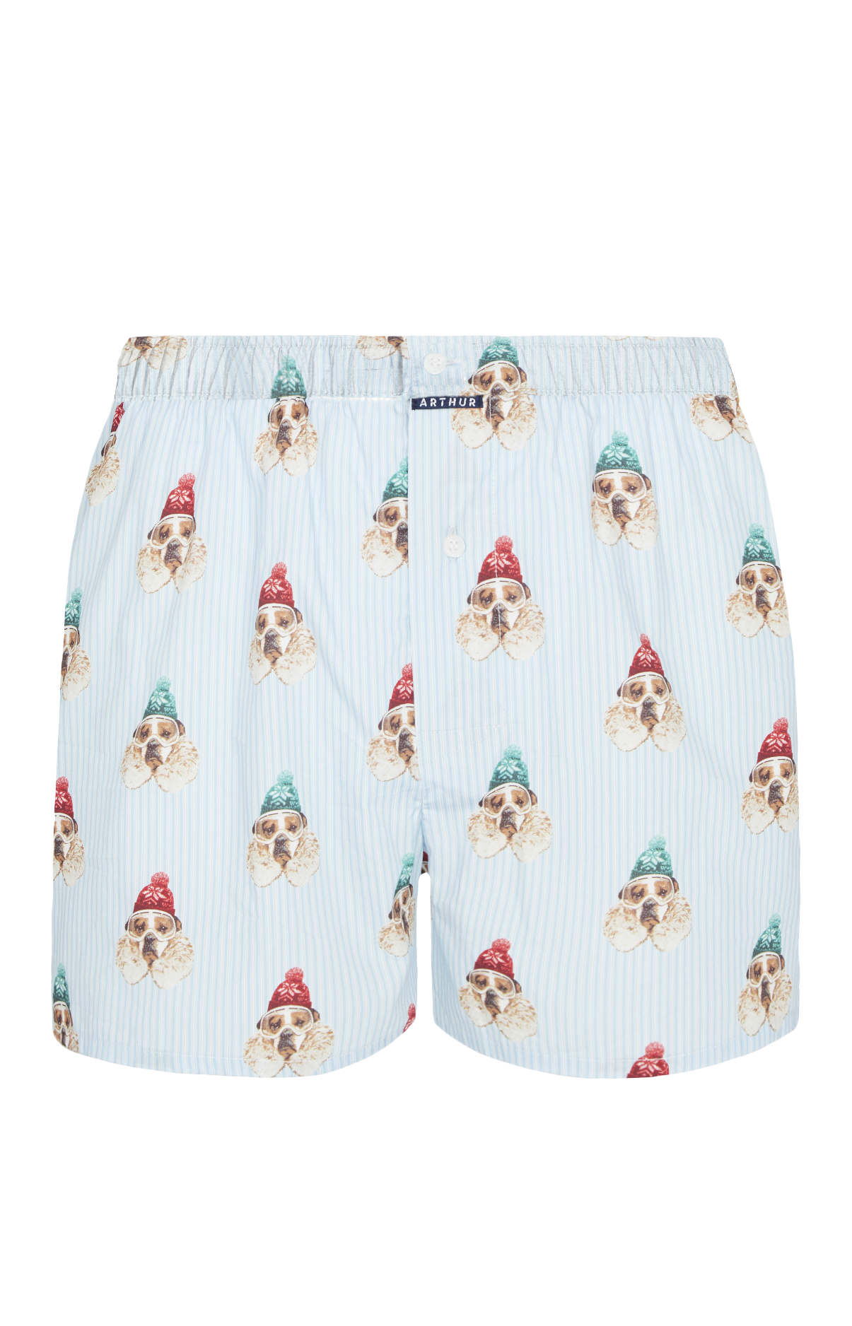 Caleçon classique Homme Chien des Montagnes Bleu 3