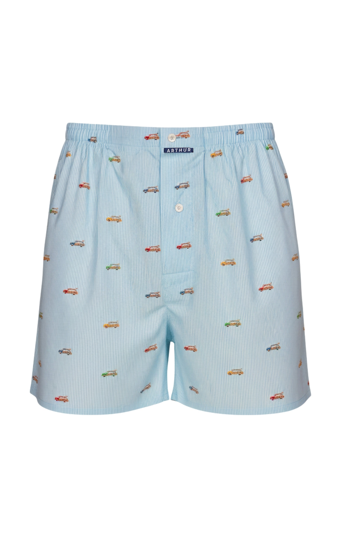 Caleçon classique Homme Van Rayures bleu 3