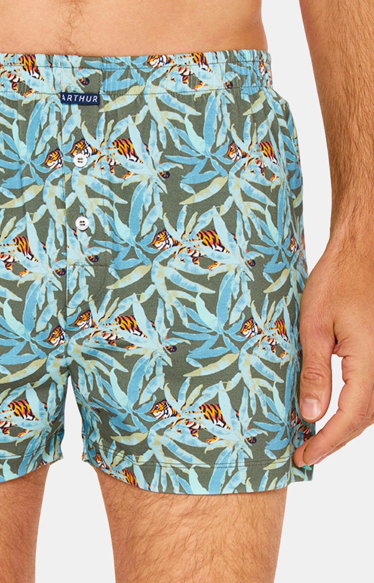 Caleçon de nuit Homme Tigre Vert 2