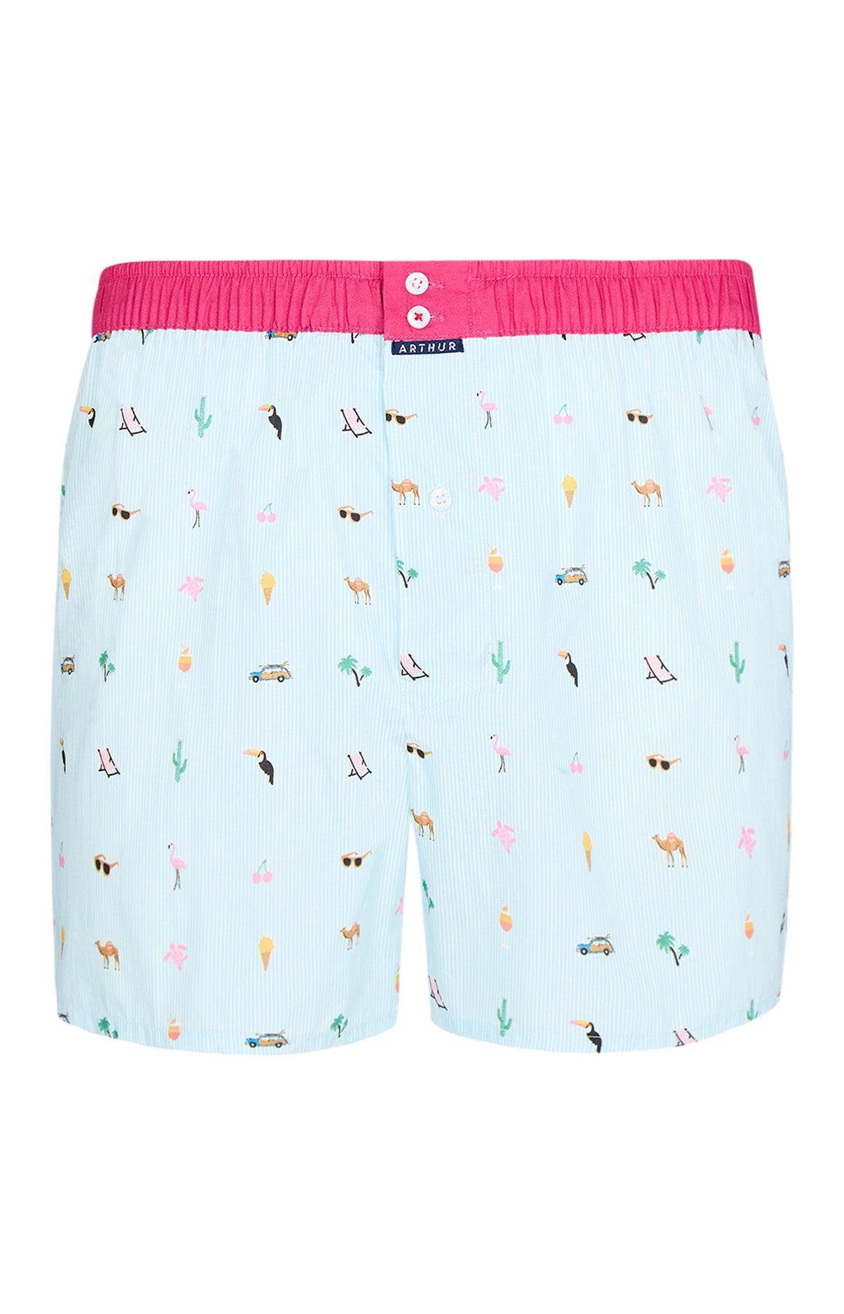 Caleçon avec suspensoir Homme n°1163 Bleu et Multicolore 3