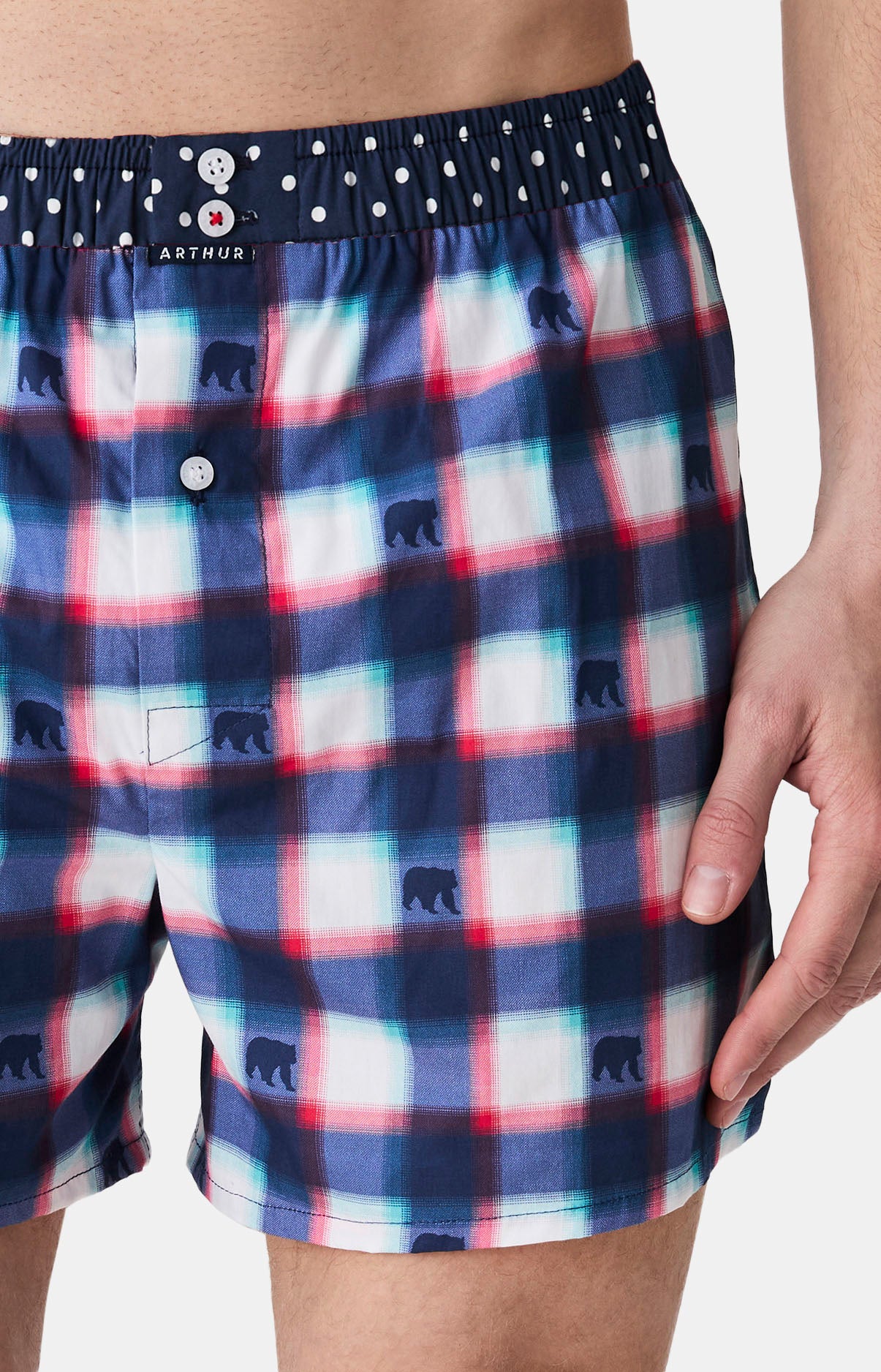 Caleçons avec suspensoir Le Club n°1178 MULTICOLORE 2