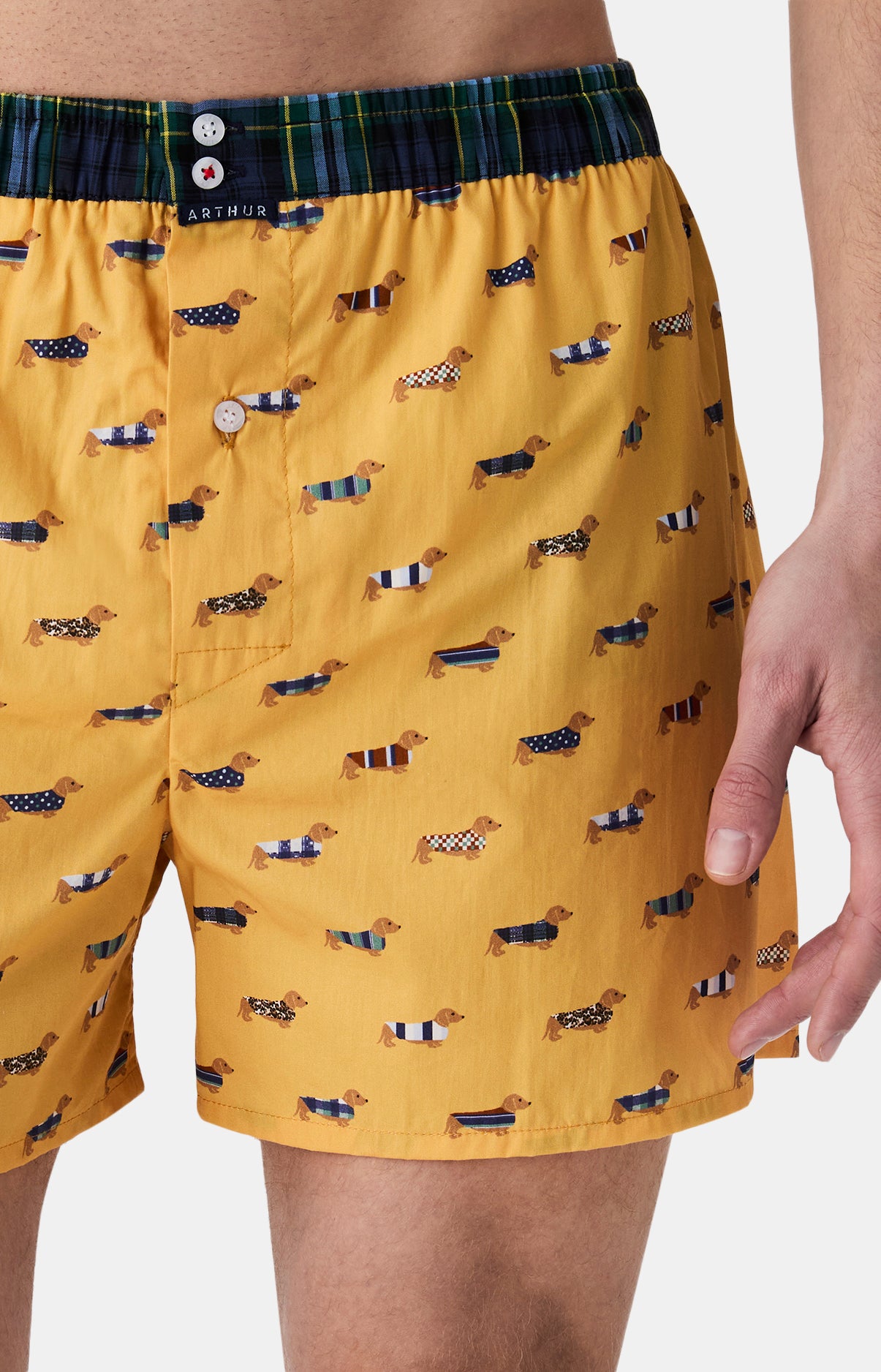 Caleçons avec suspensoir Le Club n°1196 JAUNE 2