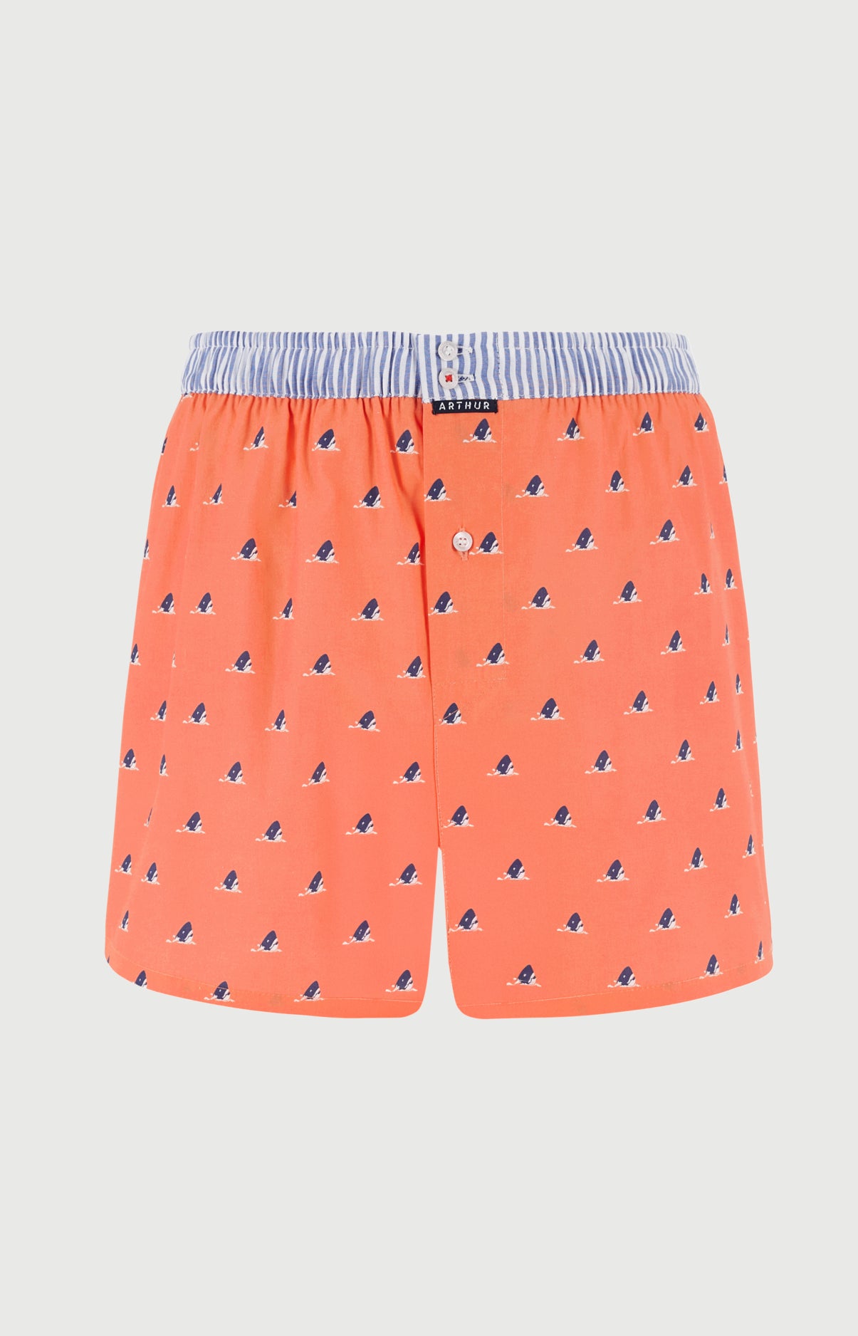 Caleçon avec suspensoir Le Club n°1220 Imprimé tête de requin bleu élastique rayé bleu et blanc 3