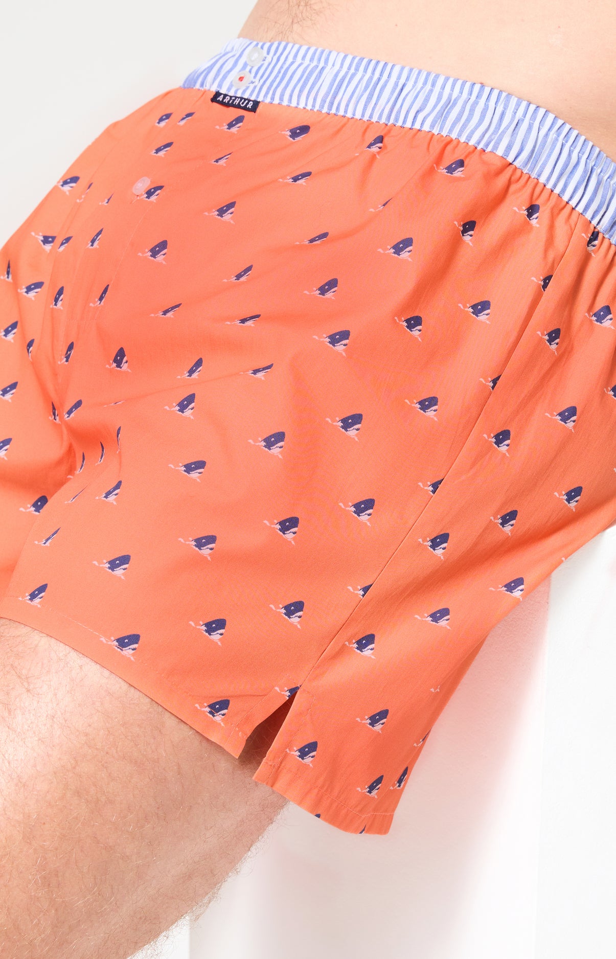 Caleçon avec suspensoir Le Club n°1220 Imprimé tête de requin bleu élastique rayé bleu et blanc 5