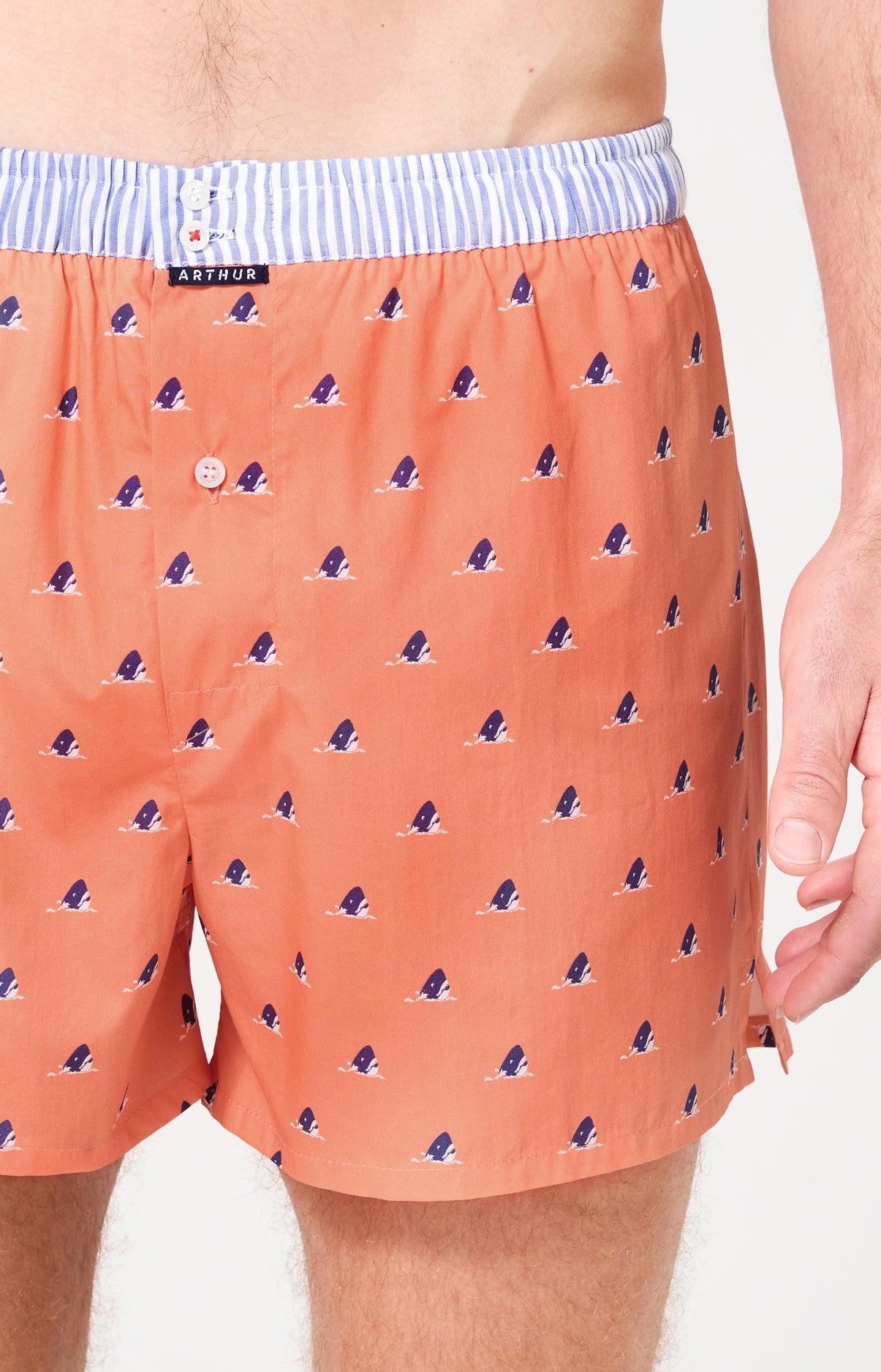 Caleçon avec suspensoir Le Club n°1220 Imprimé tête de requin bleu élastique rayé bleu et blanc 1