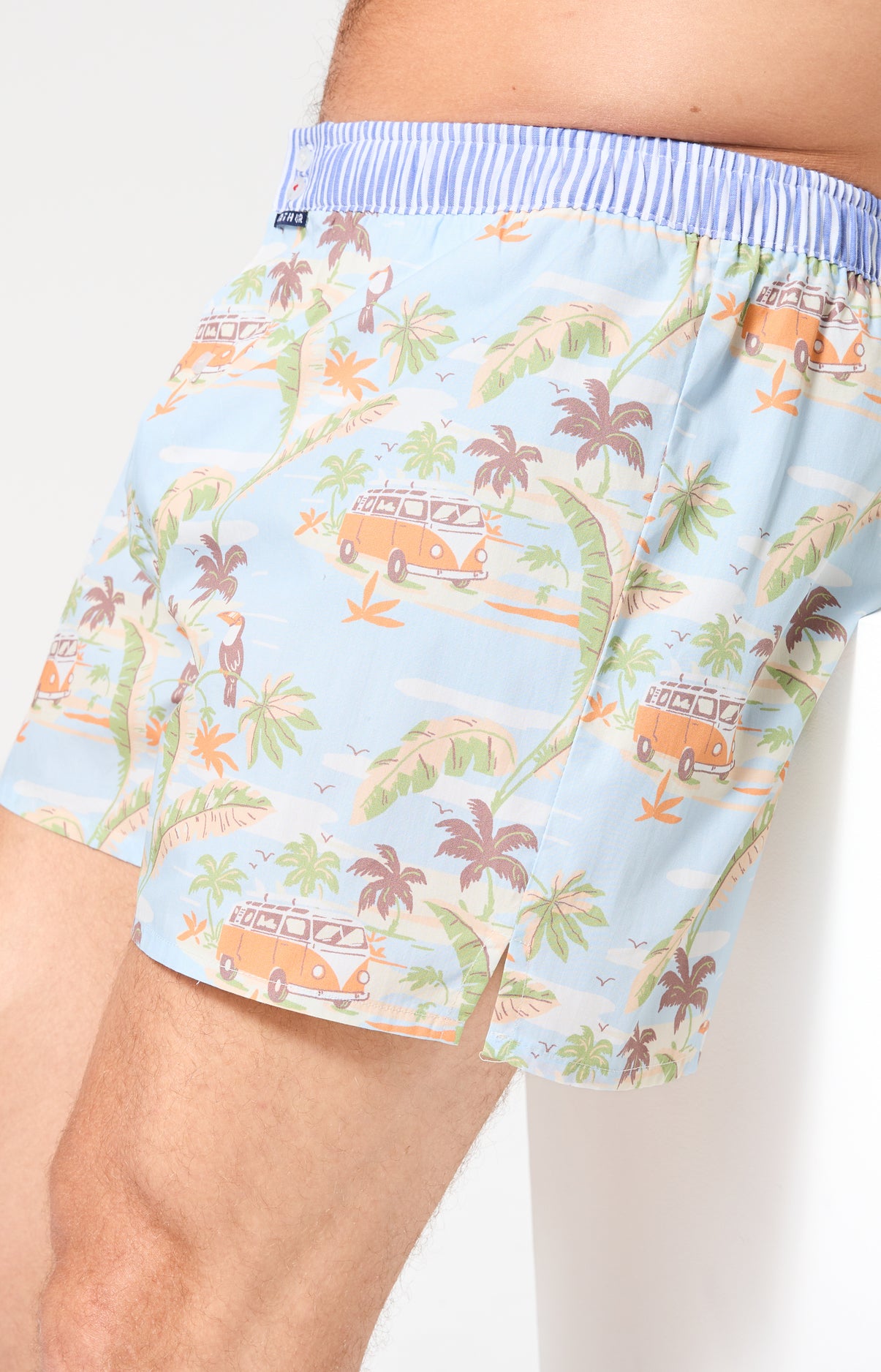 Caleçon avec suspensoir Le Club n°1226 Imprimé vannes et palmiers multicolores élastique rayé bleu et blanc 5