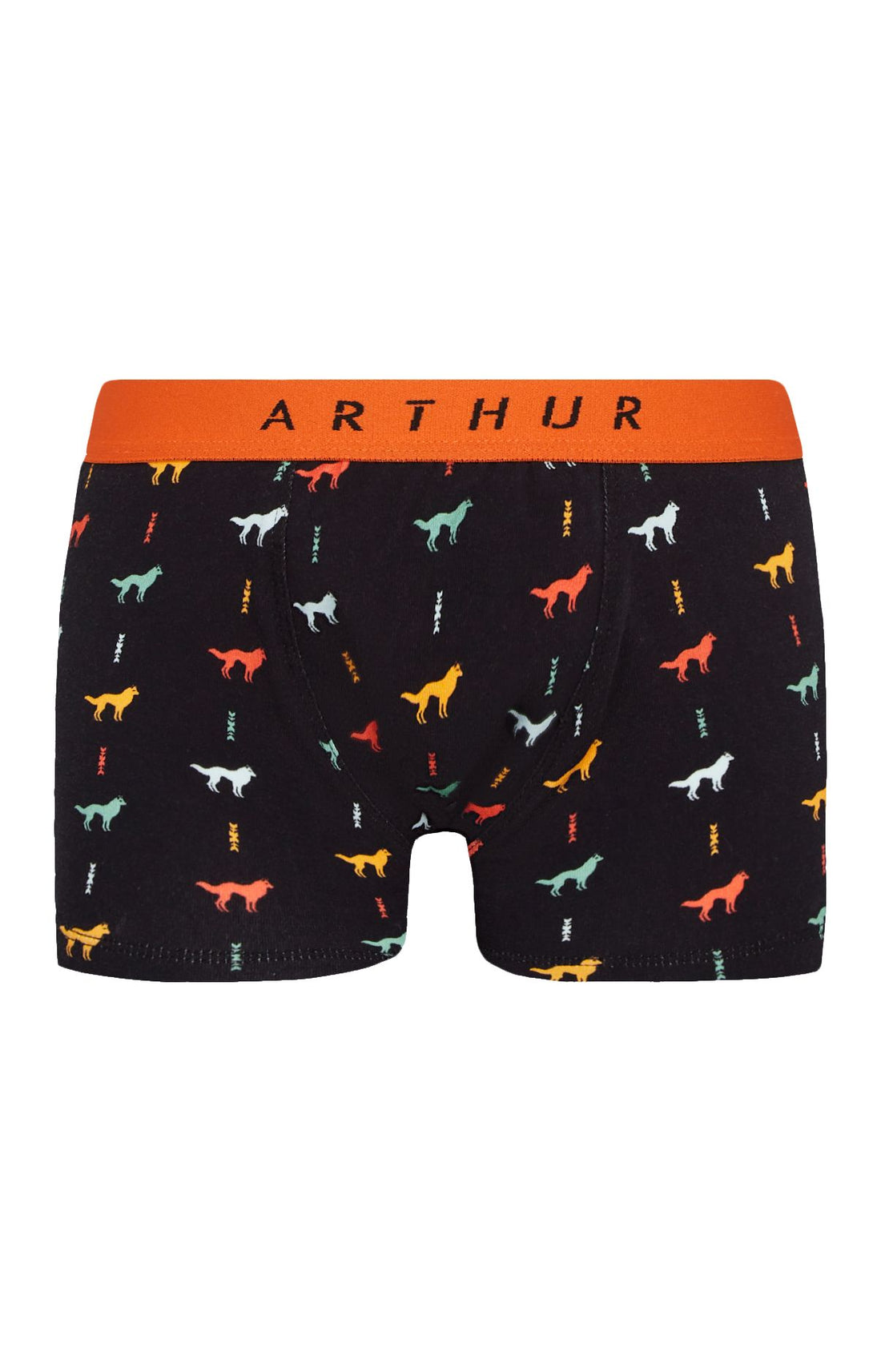 Boxer Homme Jeune Loup Homme Noir 3