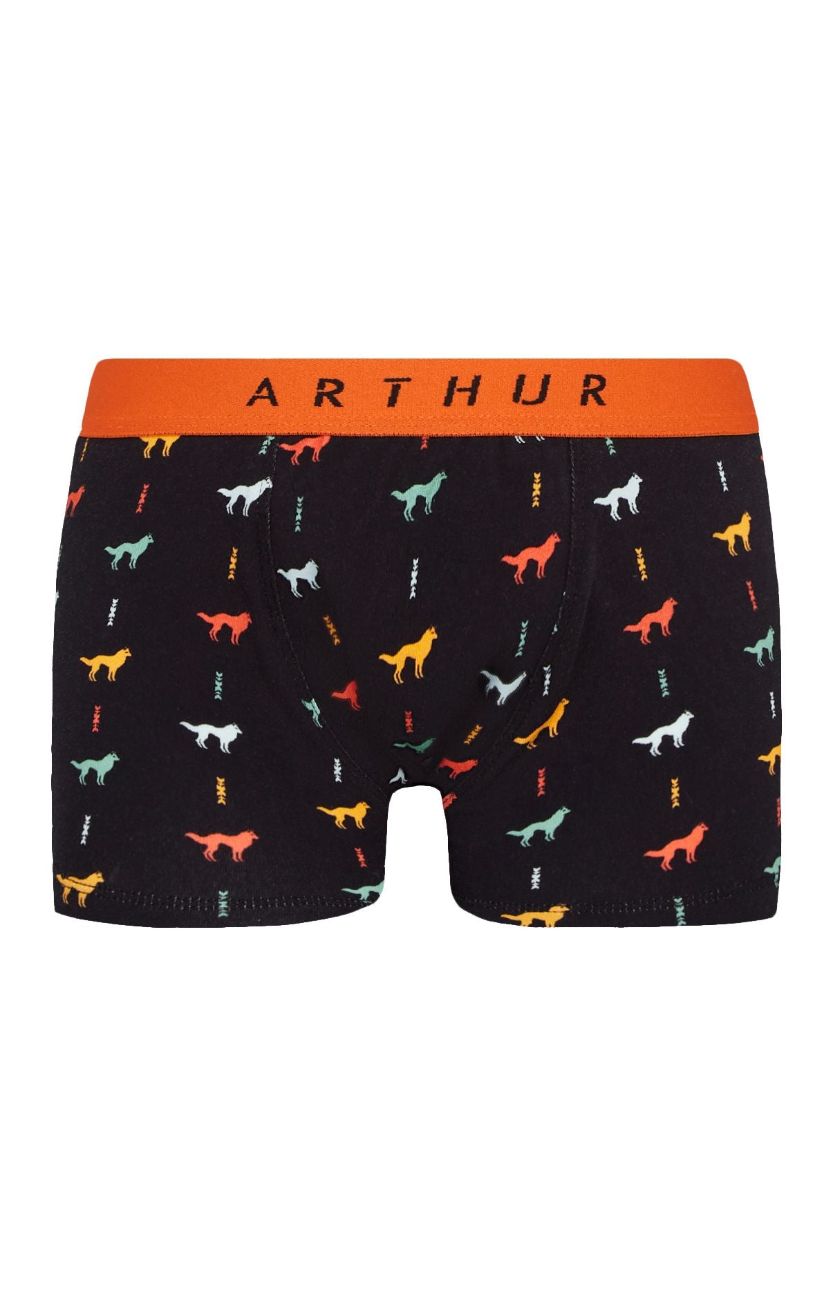 Boxer Homme Jeune Loup Homme Noir 3