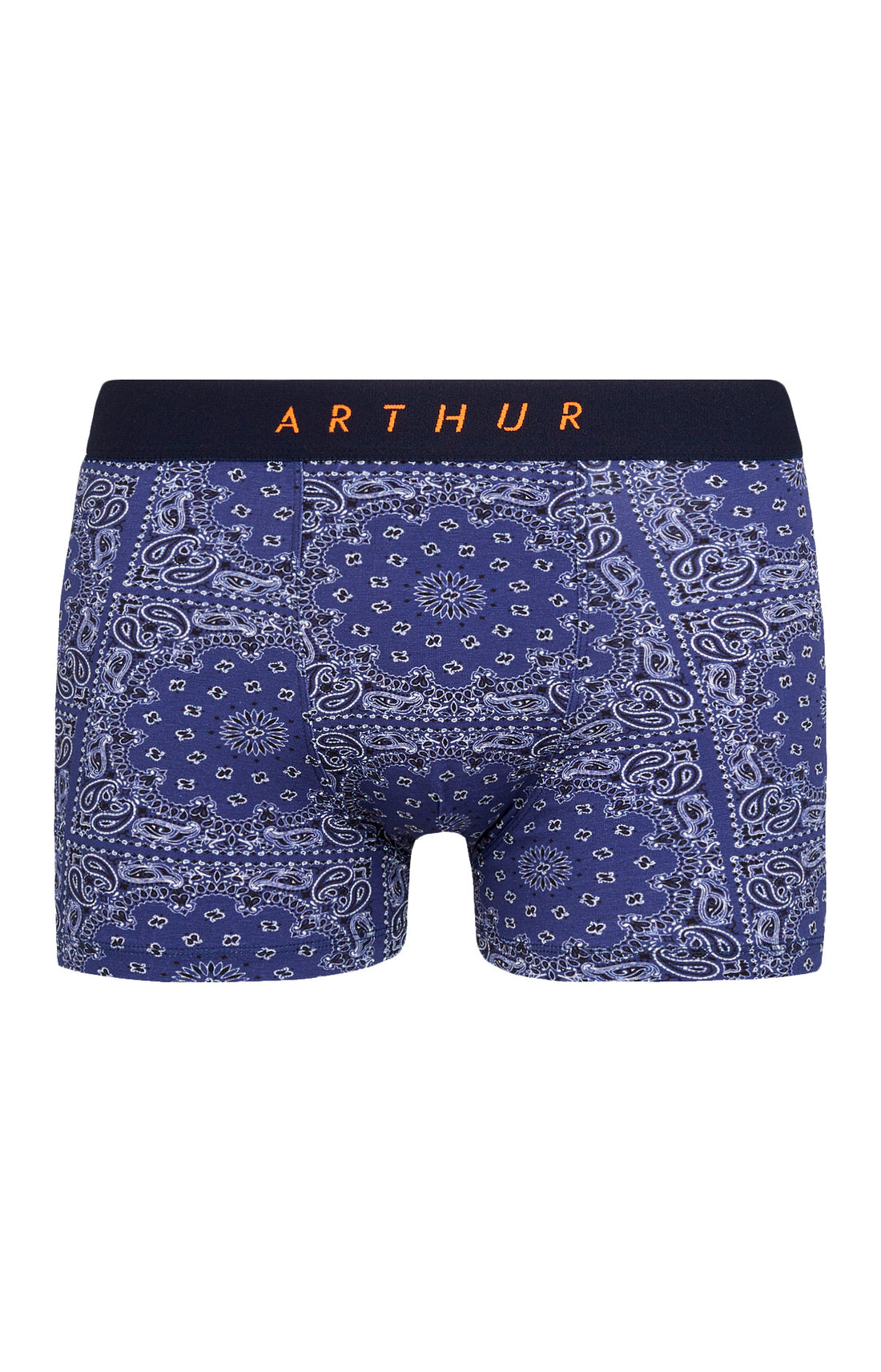 Boxer Bandana 3