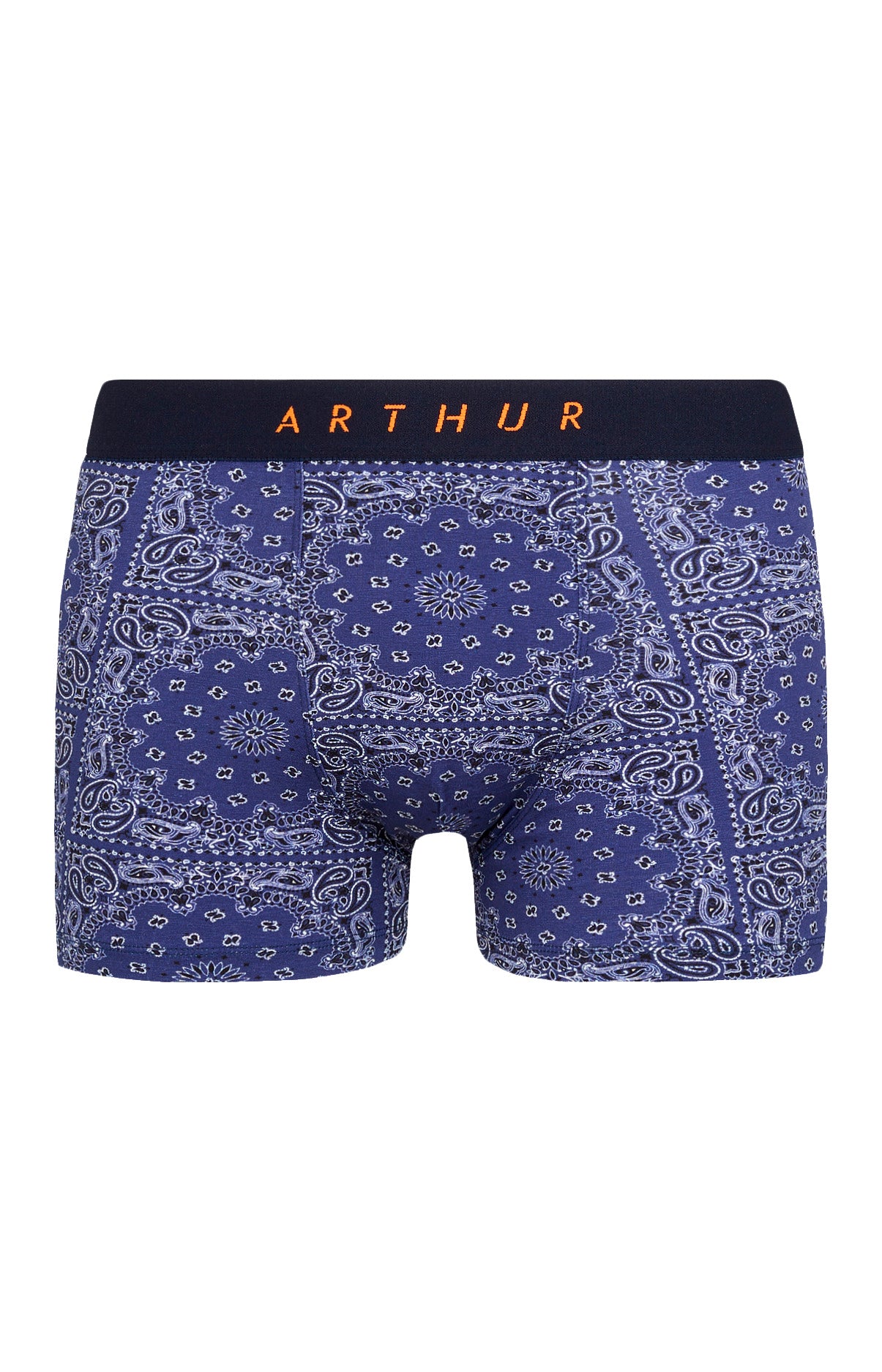 Boxer Bandana 3