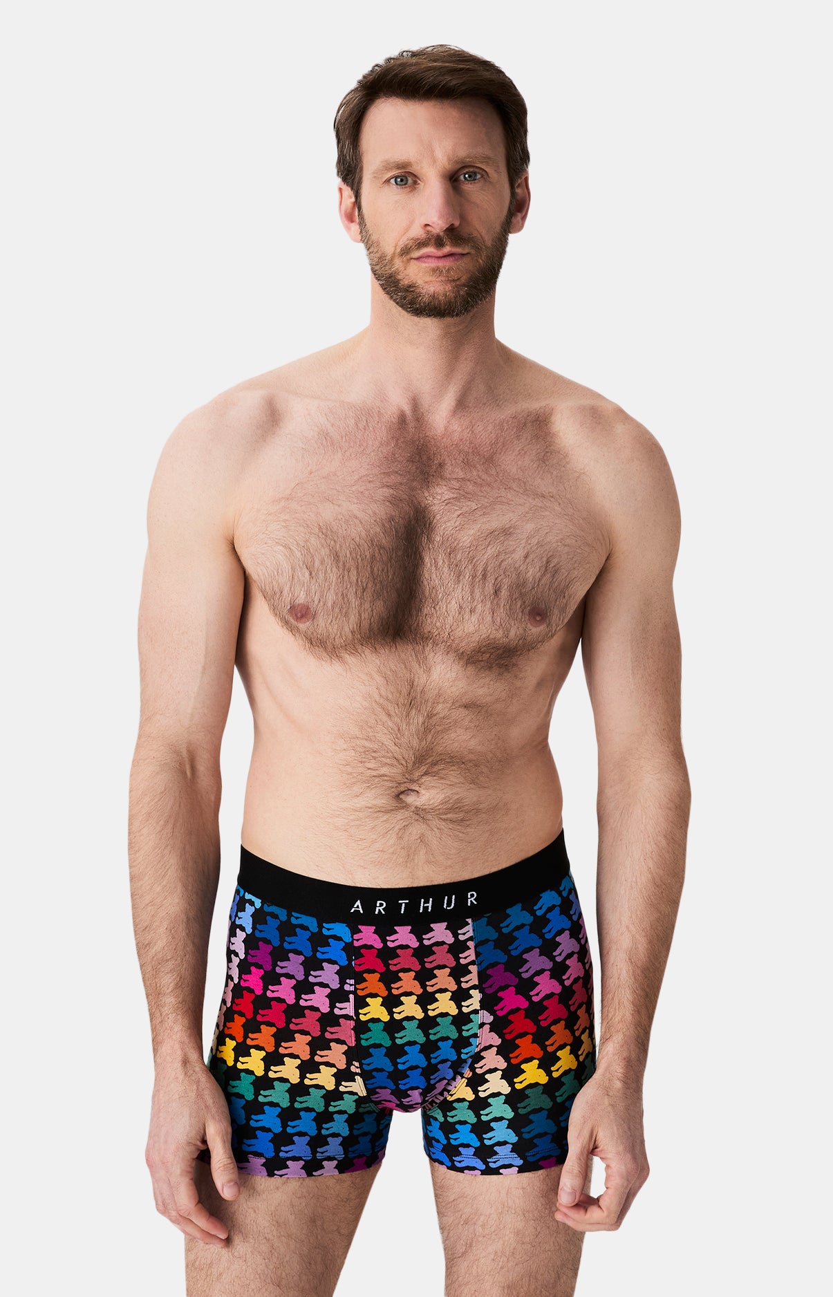 Boxers homme Teddy Bear MULTICOLORE 1