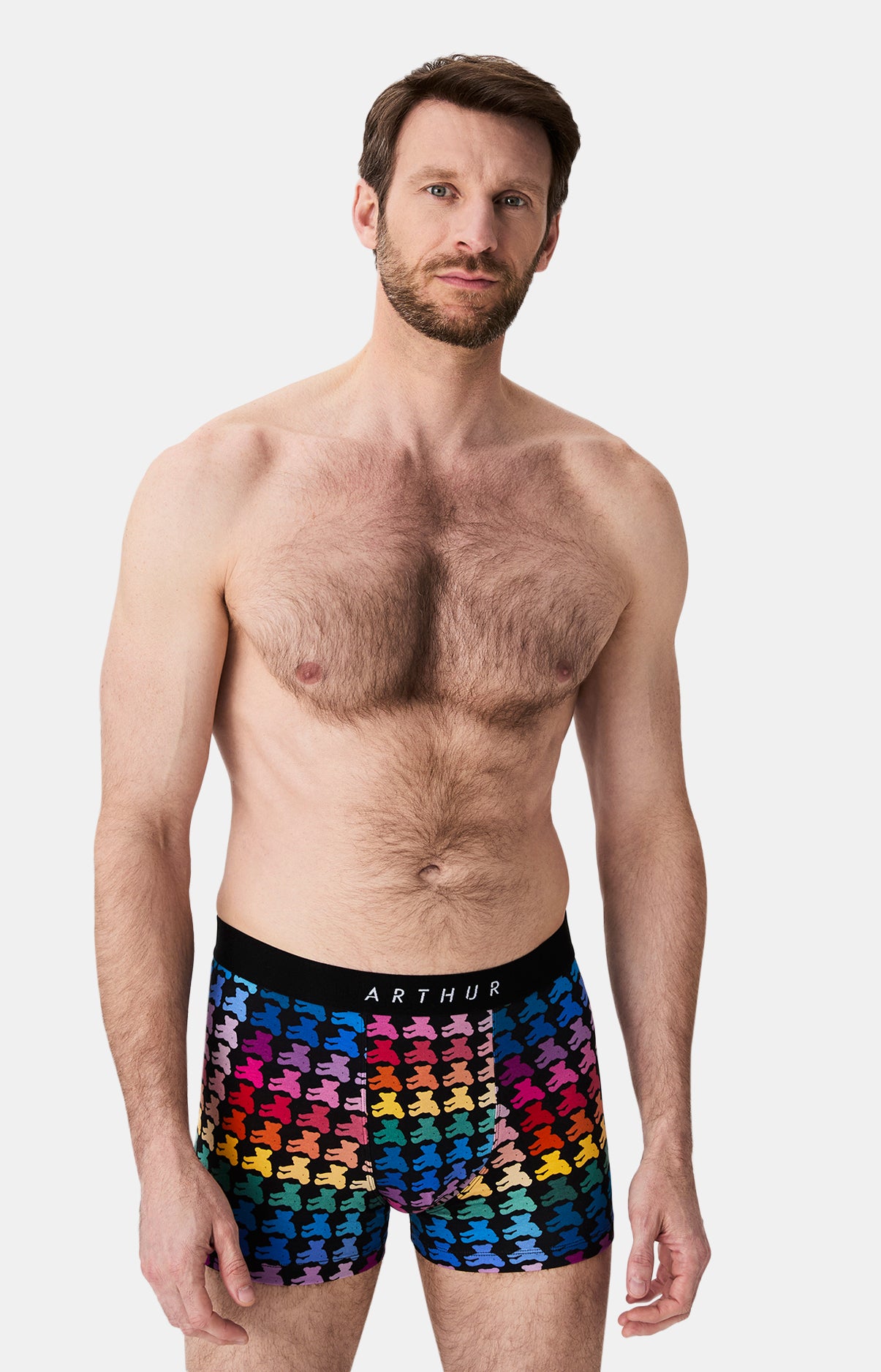 Boxers homme Teddy Bear MULTICOLORE 4