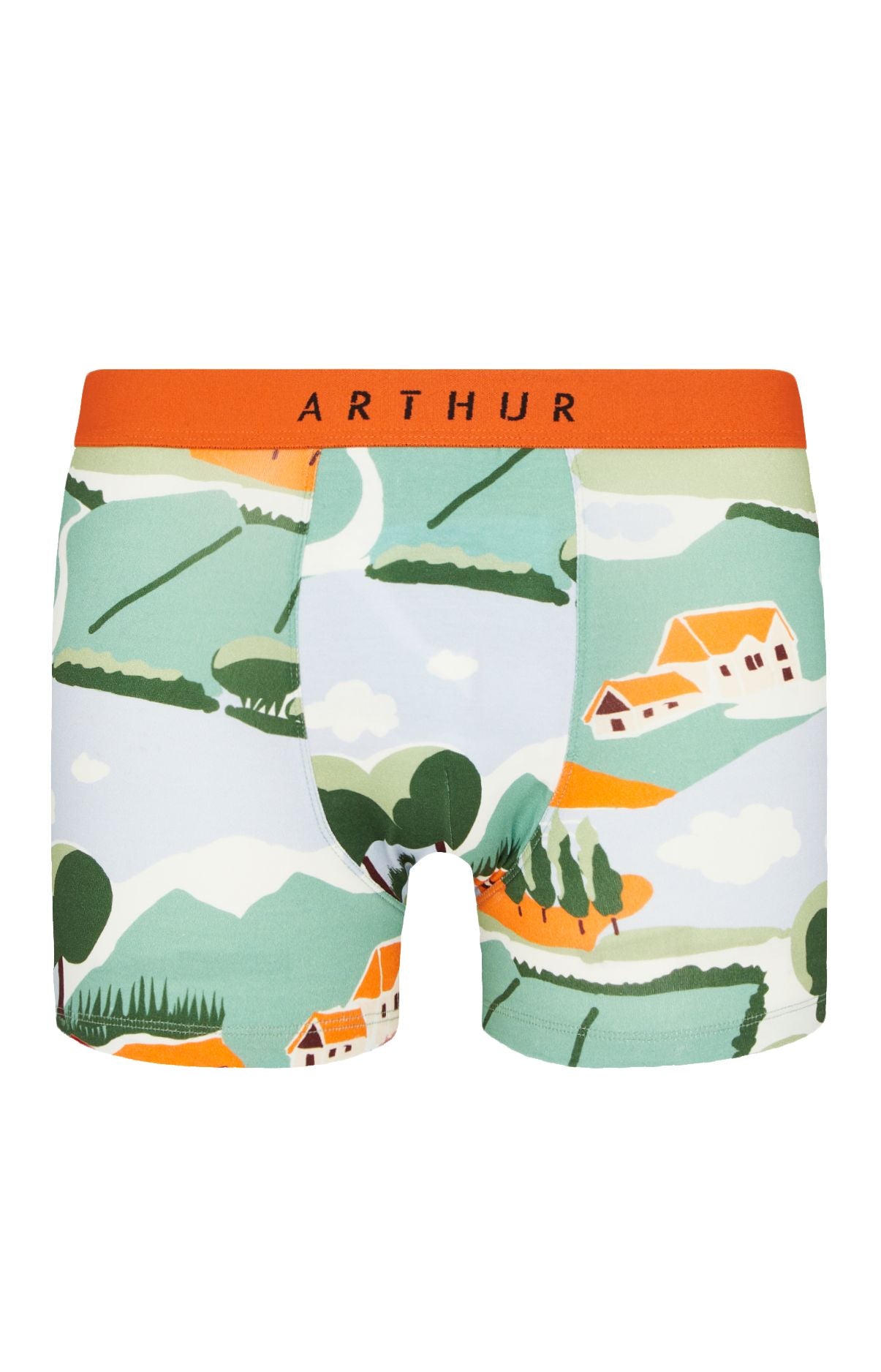 Boxer Homme Campagne Homme Vert 3