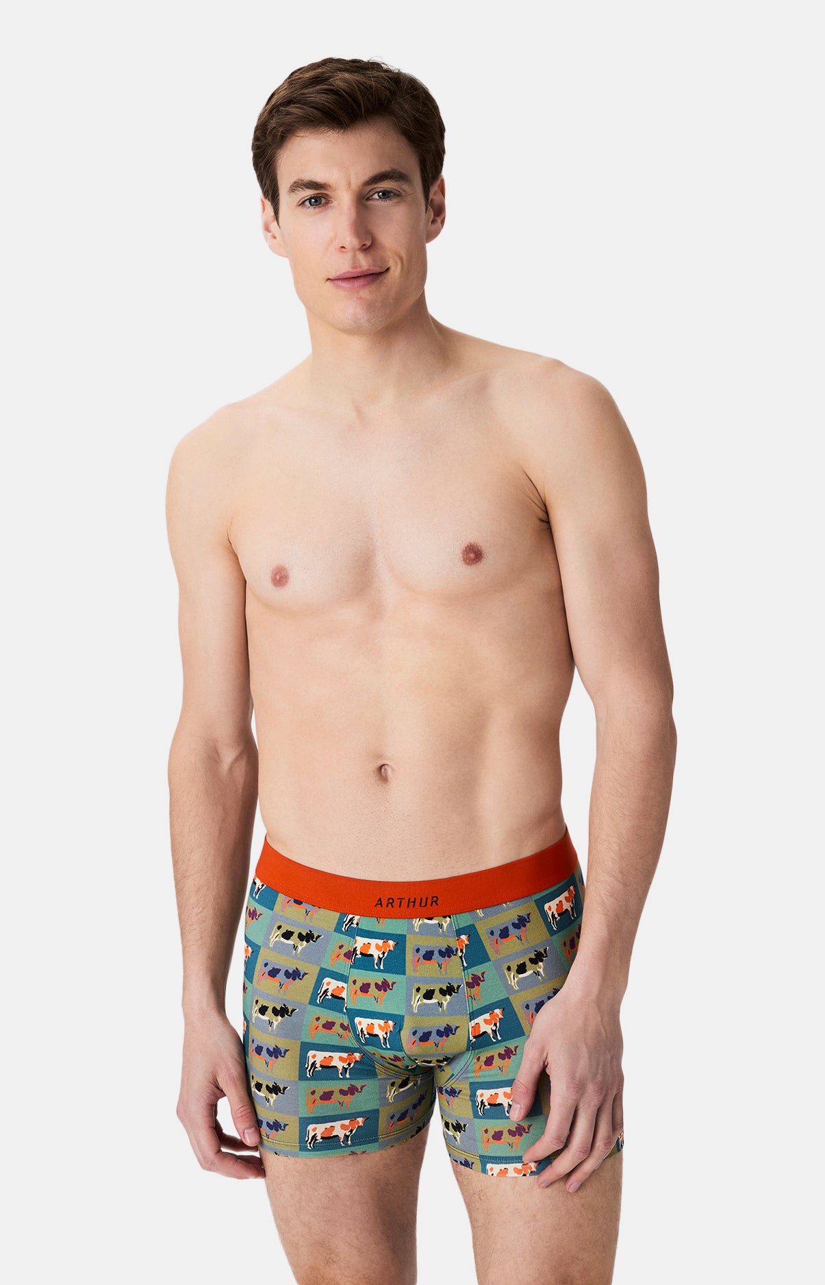 Boxers homme Vache MULTICOLORE 1