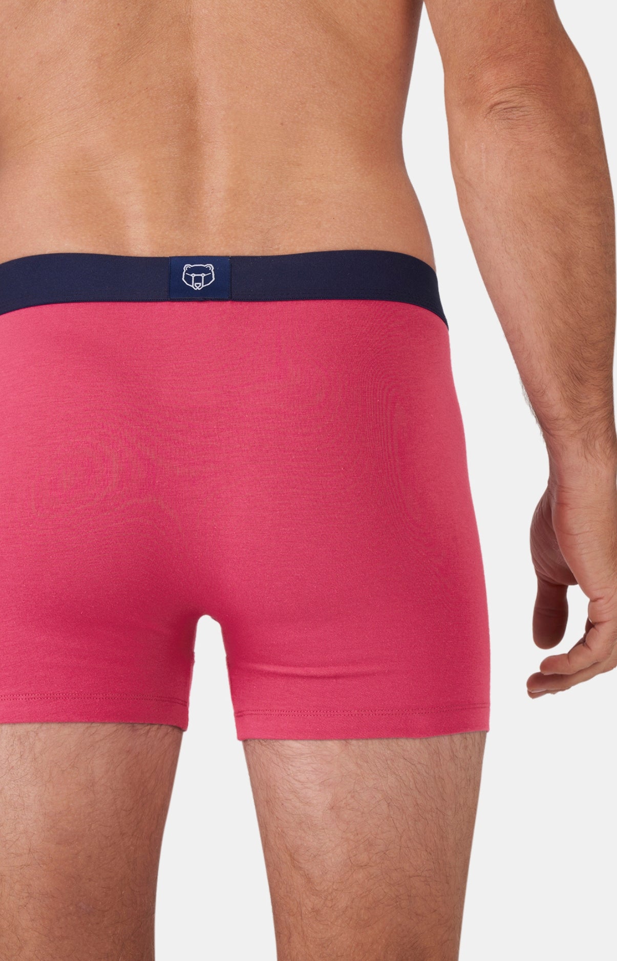 Boxer Coton 5