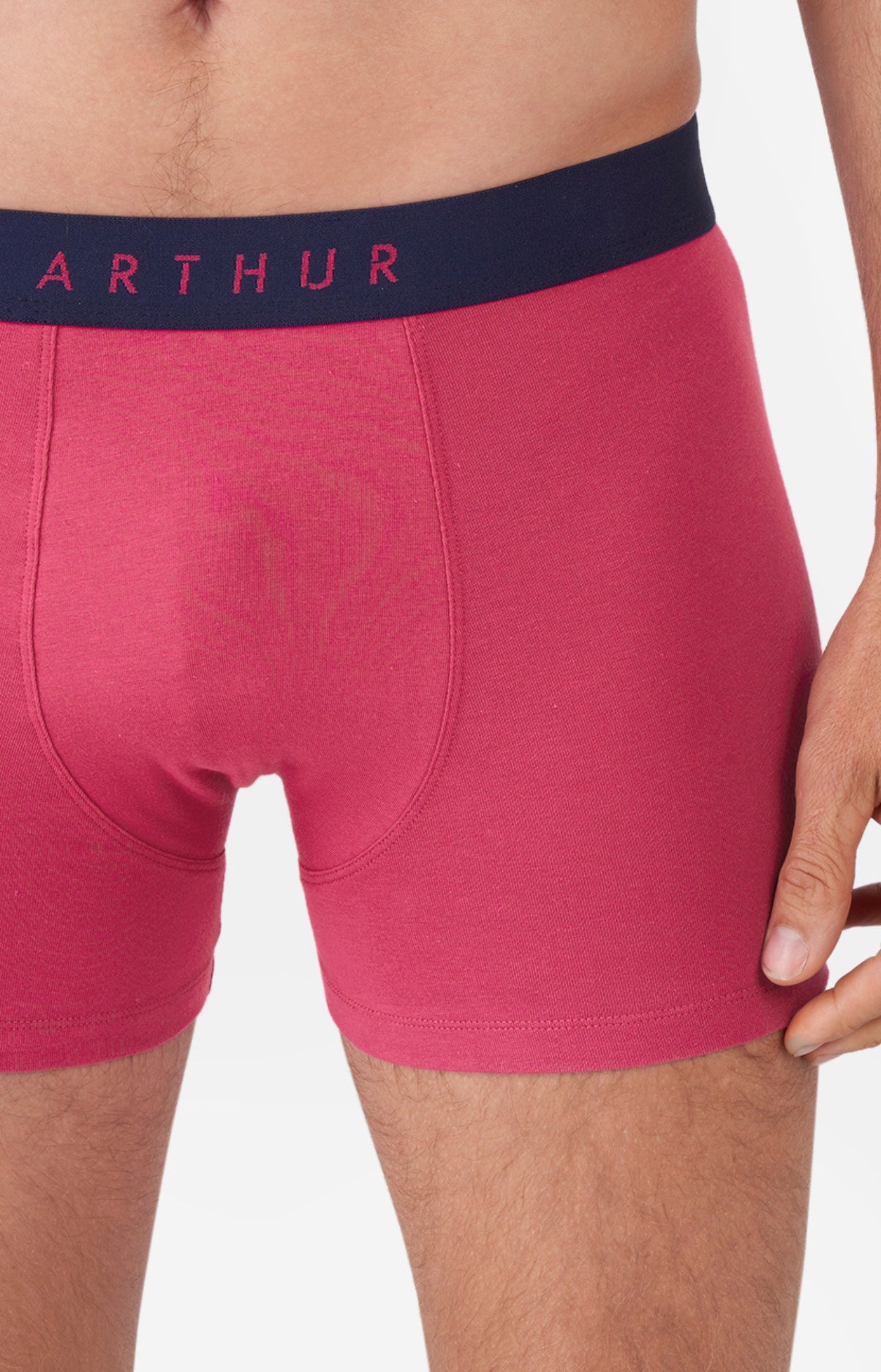 Boxer Coton 1