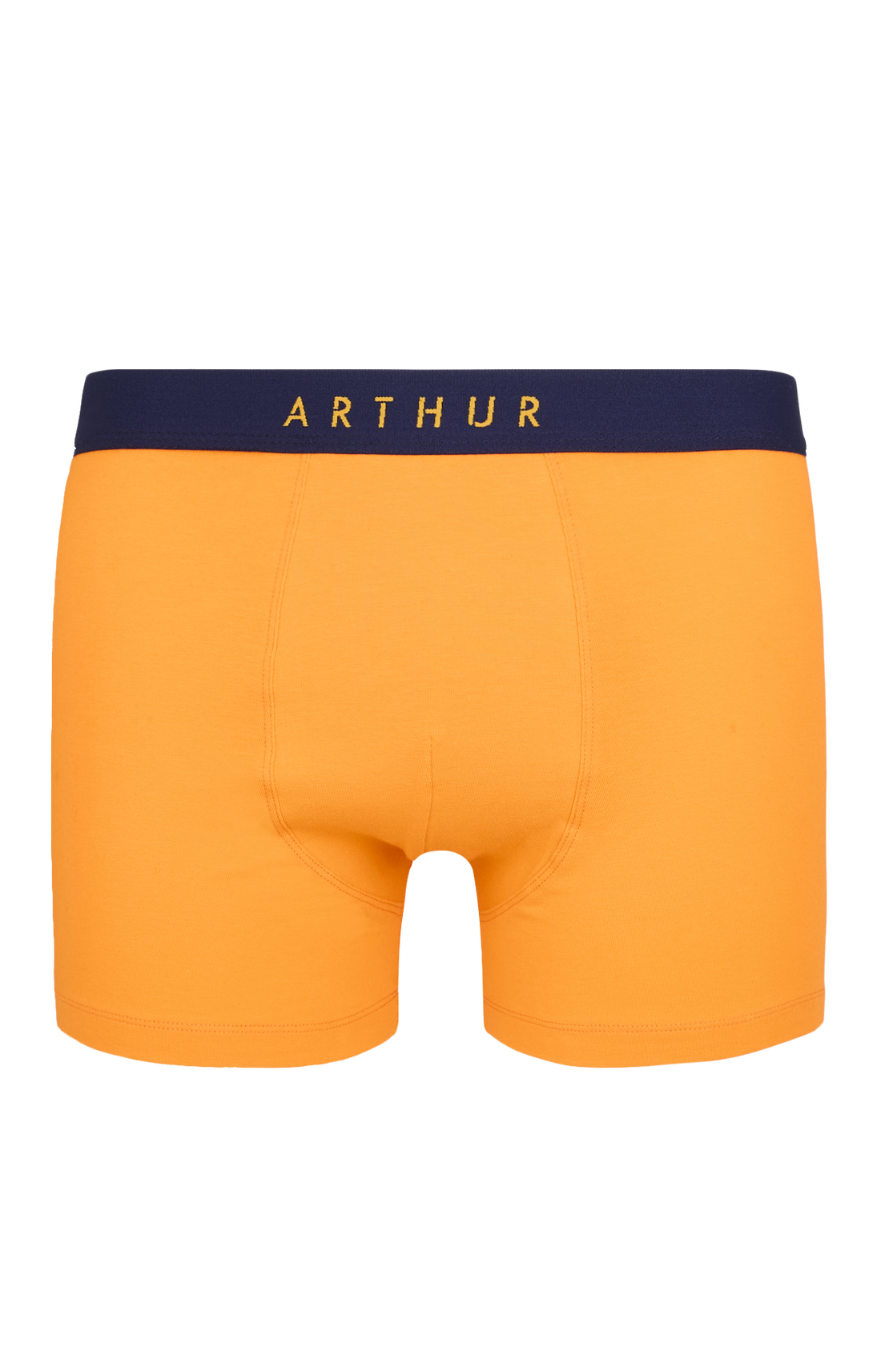 Boxer Coton 1
