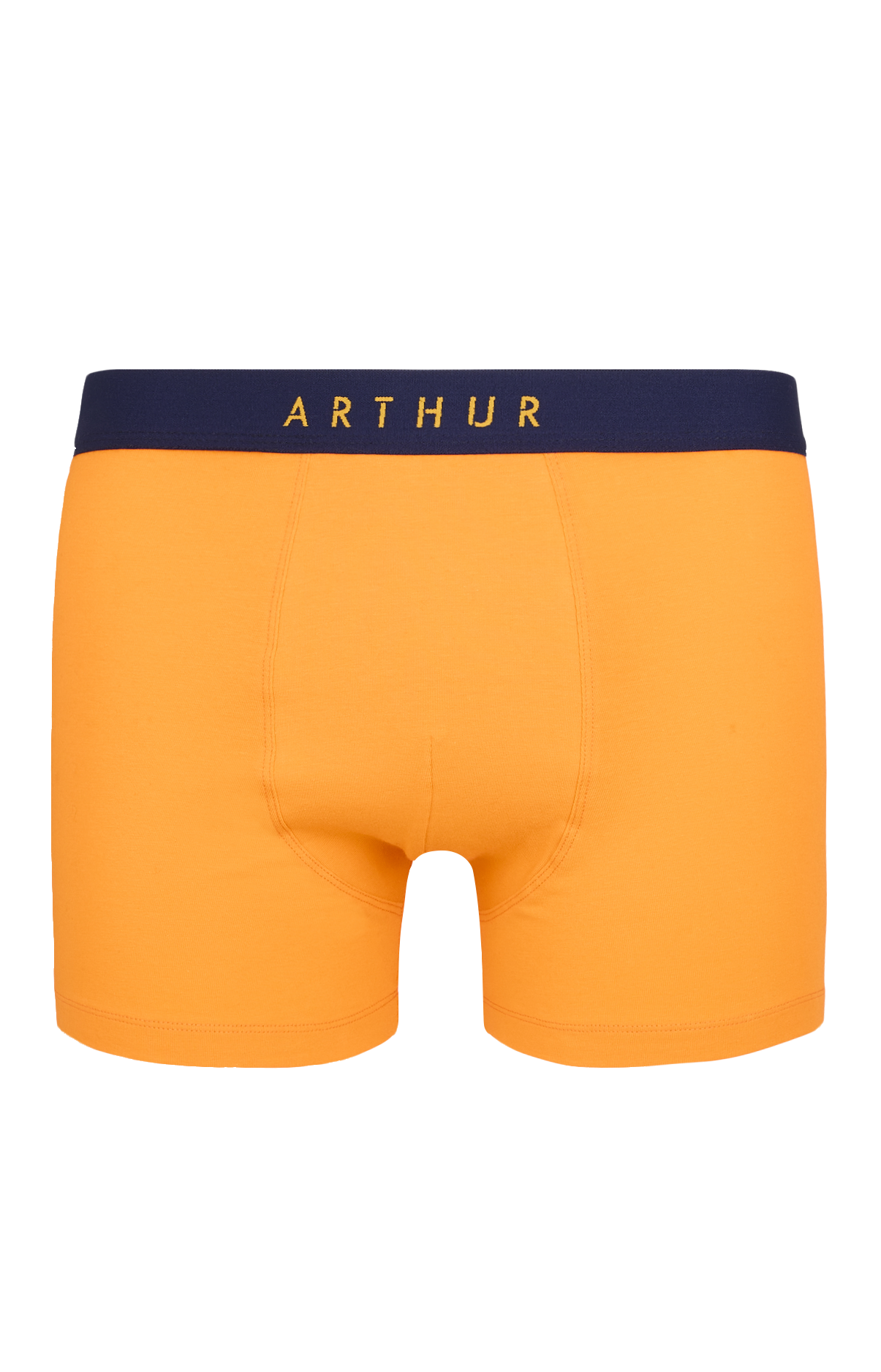 Boxer Coton 1