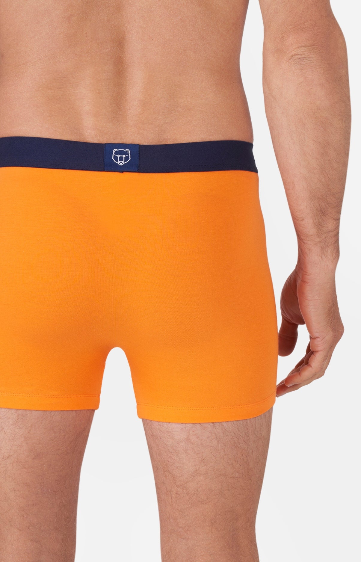 Boxer Coton 1