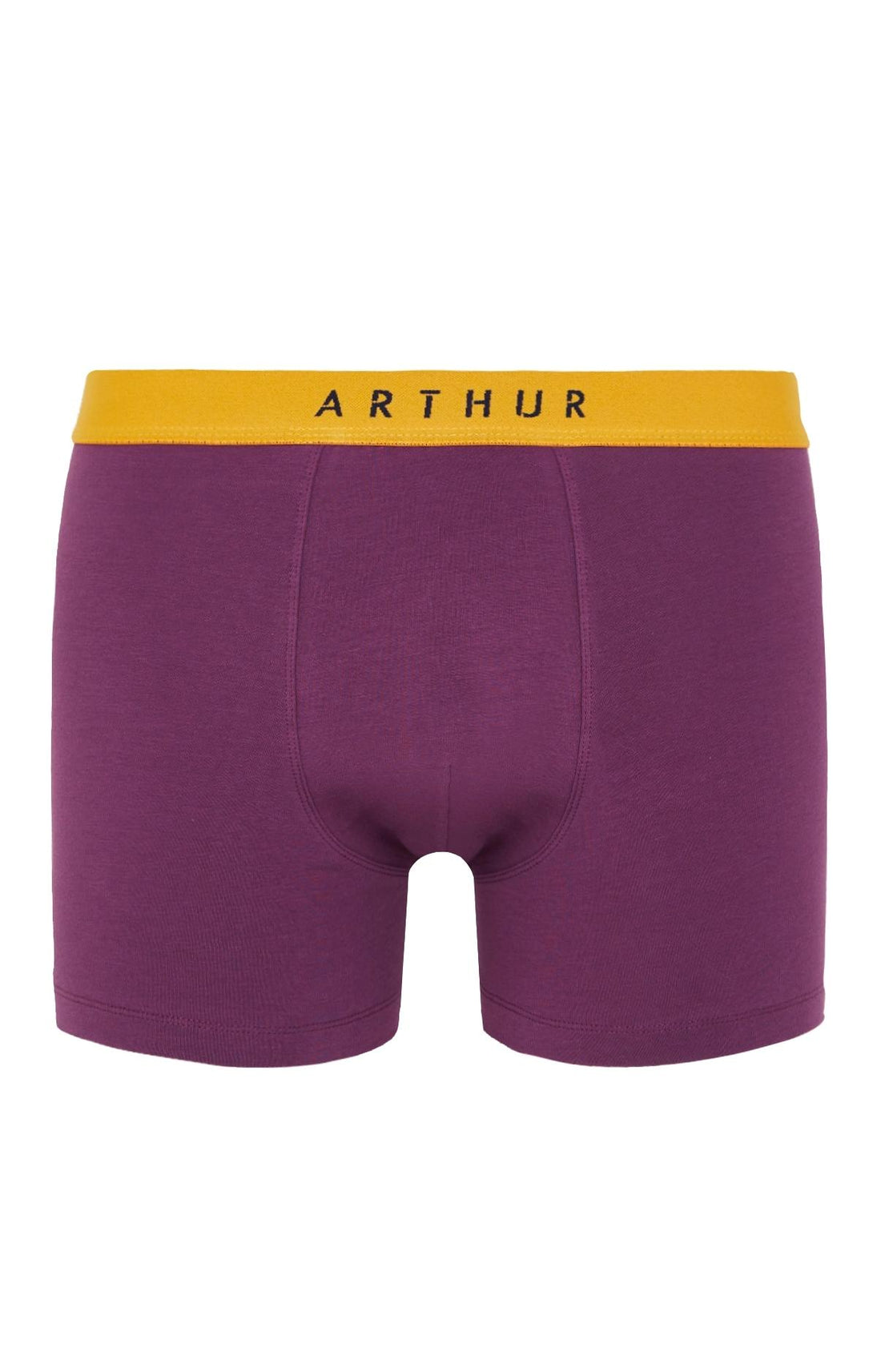 Boxer Homme Coton 3 Aubergine 1