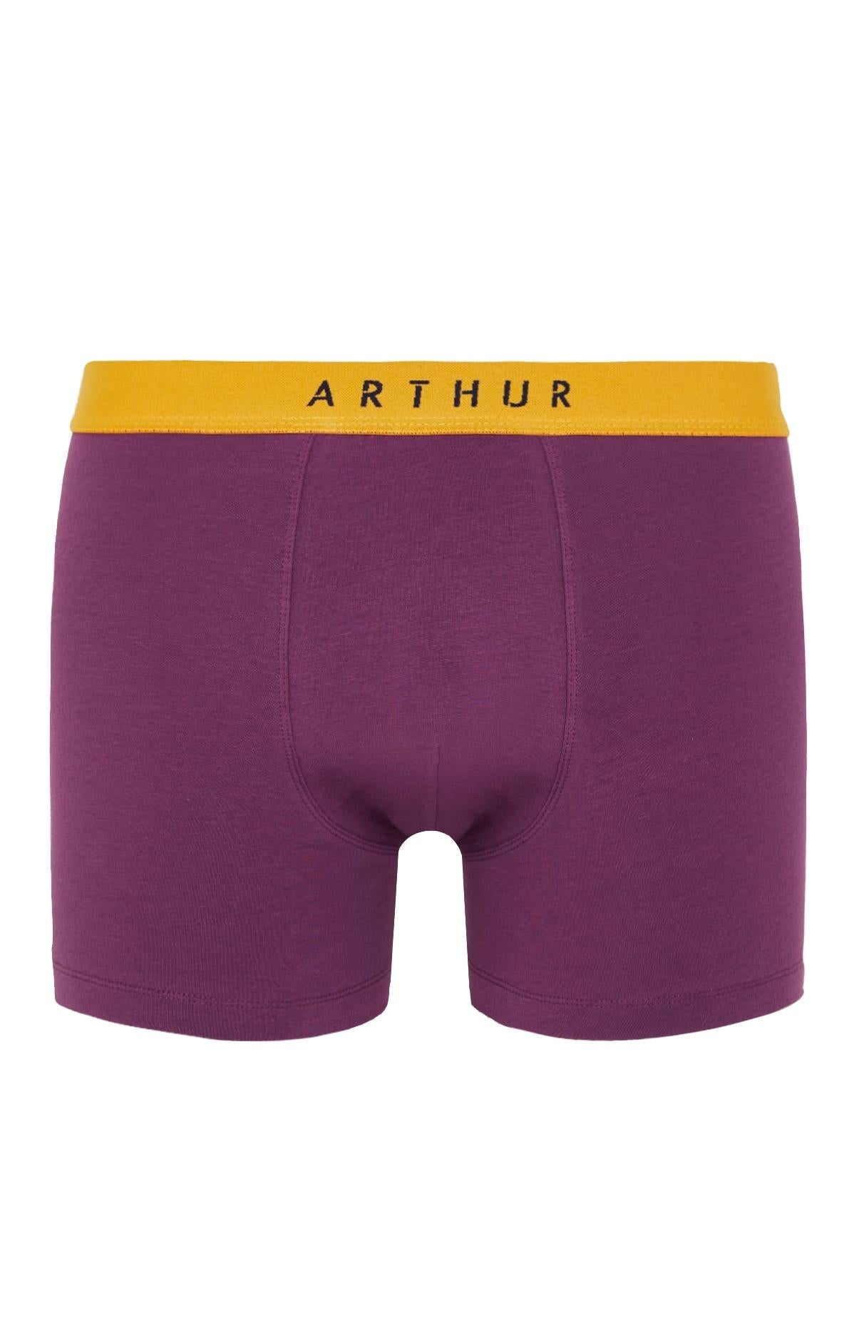 Boxer Homme Coton 3 Aubergine 1