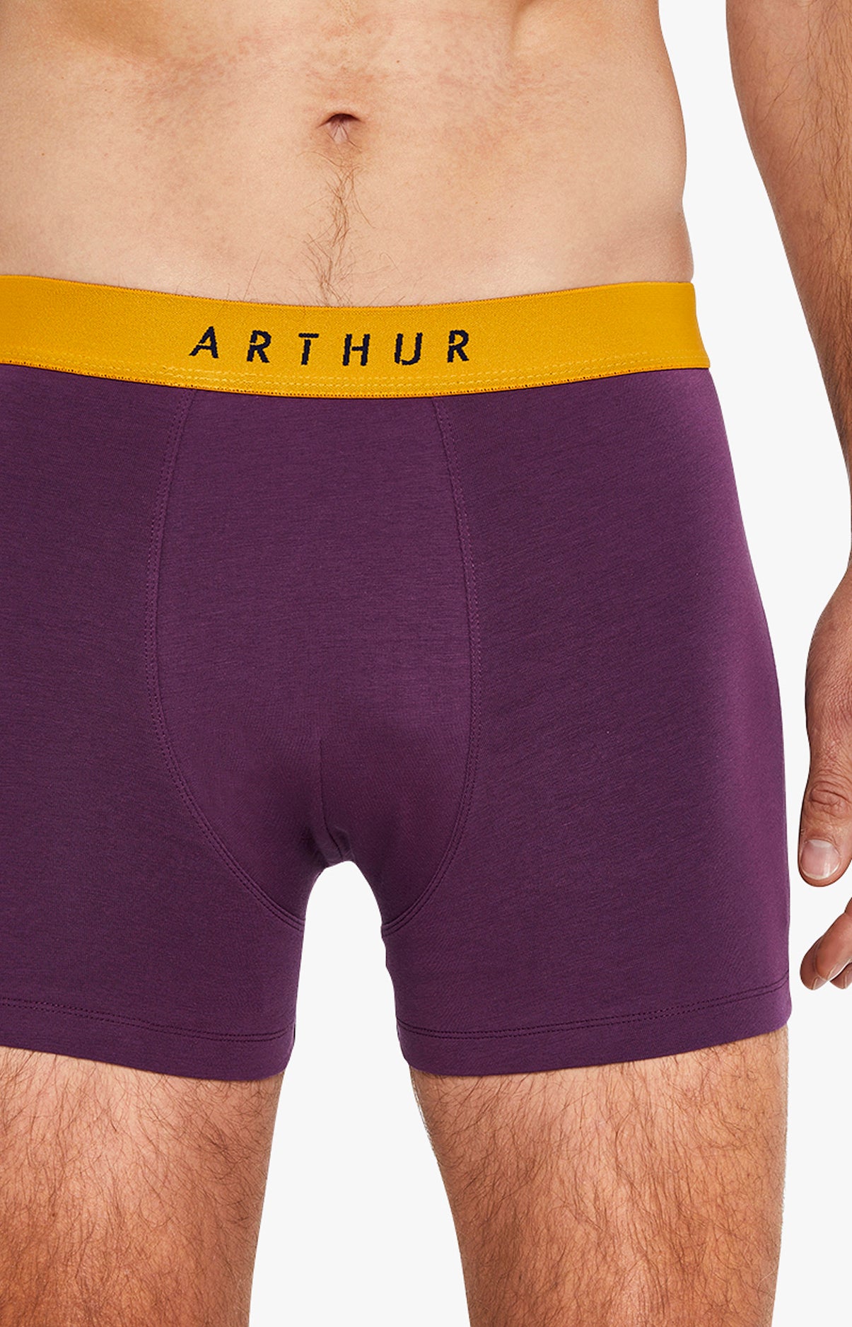 Boxer - Coton 2