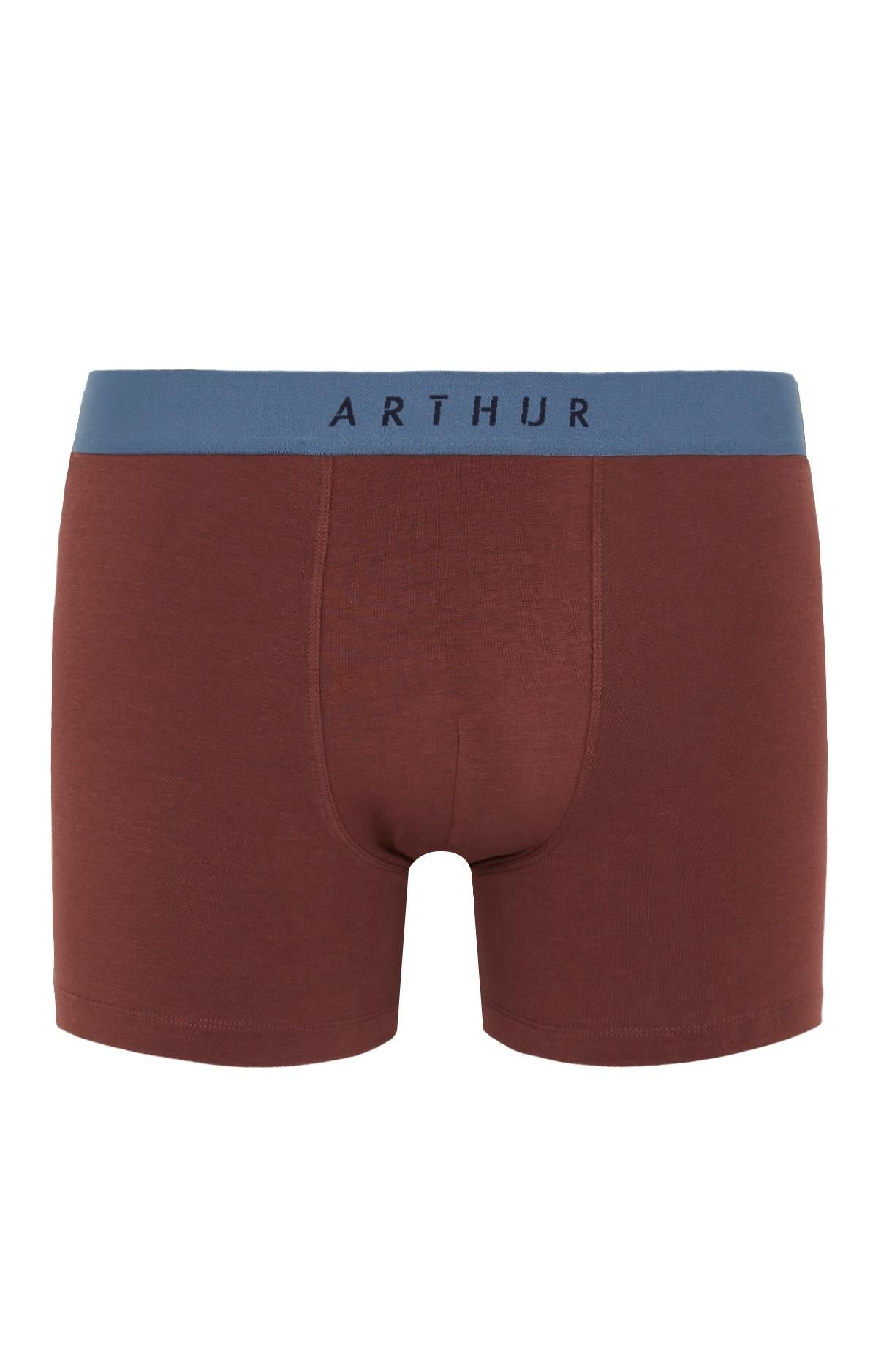 Boxer Homme Coton Chocolat Beige et Marron 3