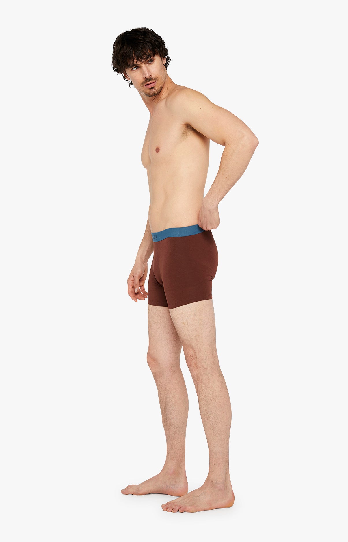 Boxer - Coton 4