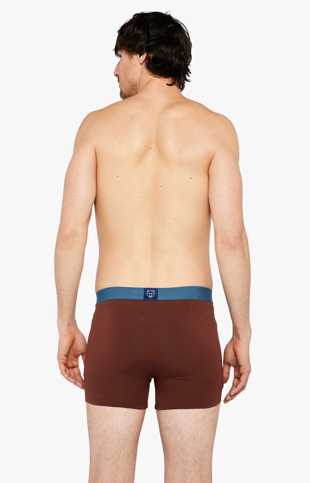 Boxer - Coton 6