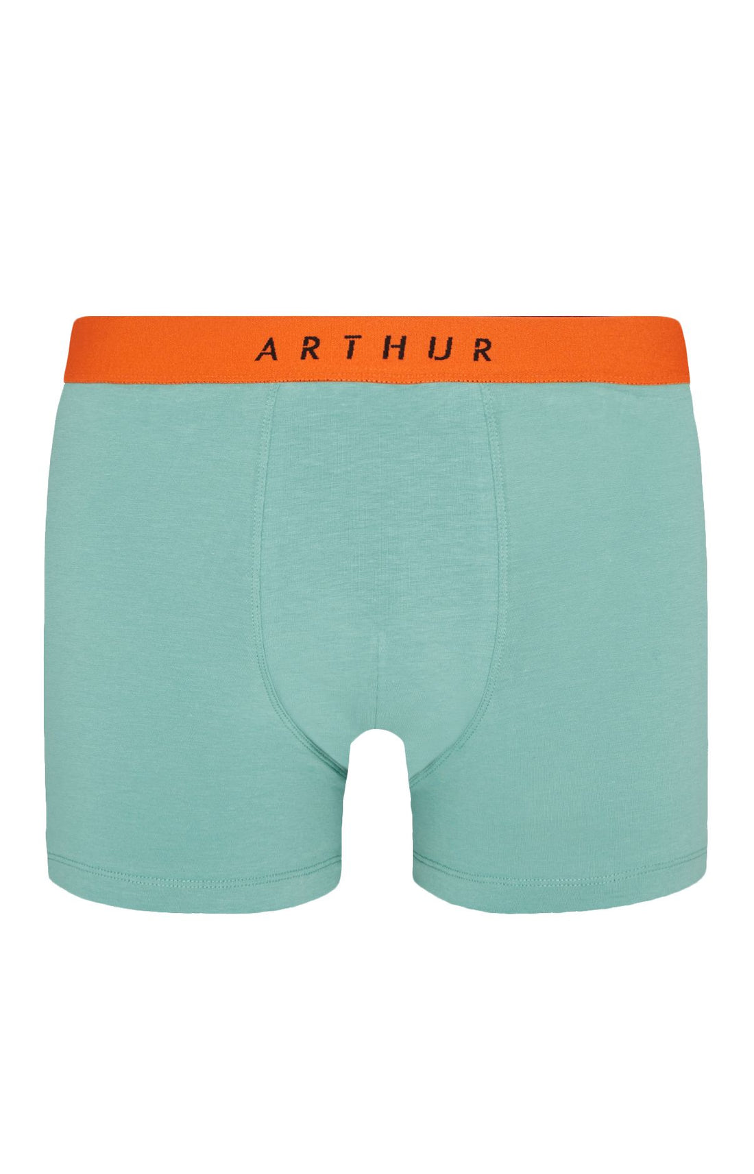 Boxer Homme Coton Homme Bleu 3