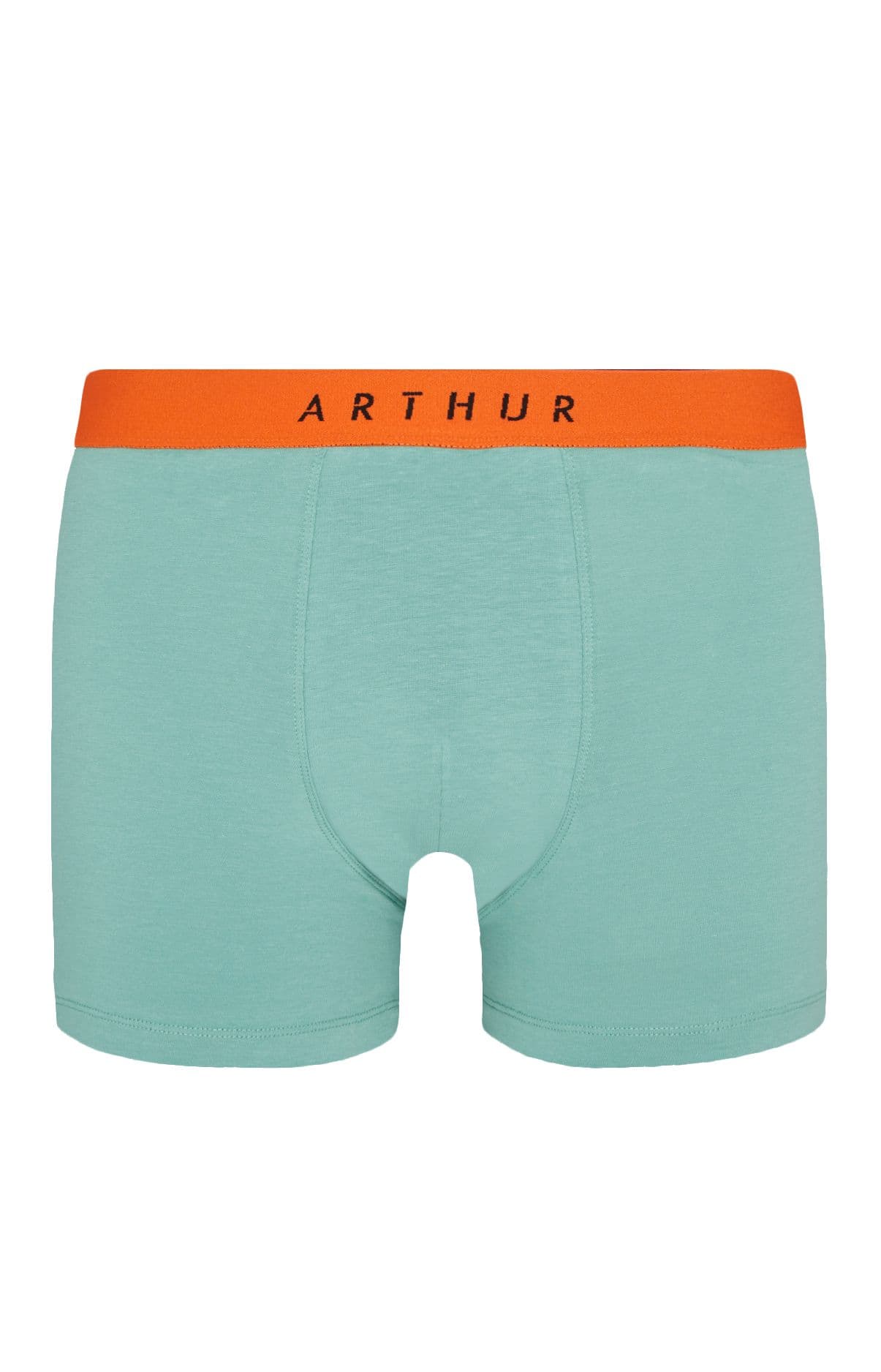 Boxer Homme Coton Homme Vert 3