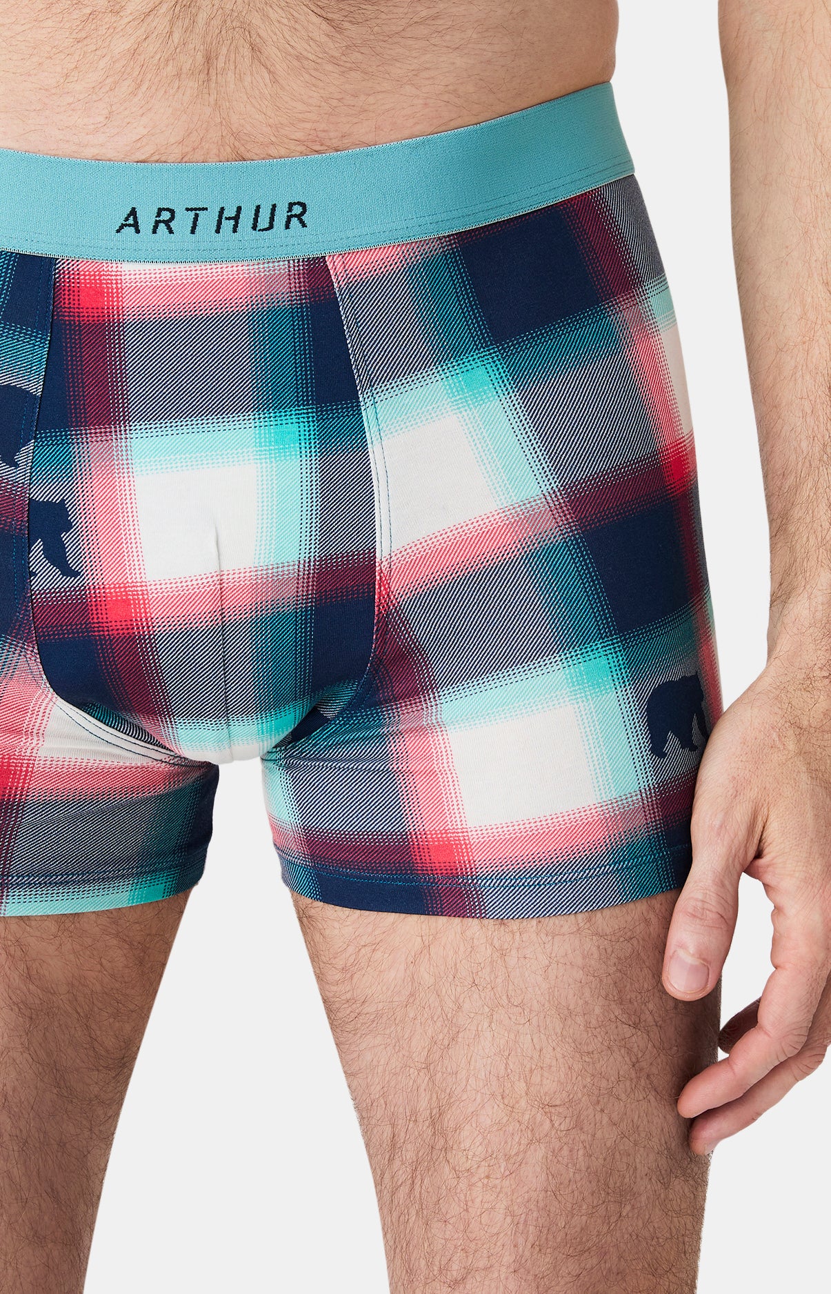 Boxers homme Bear MULTICOLORE 2