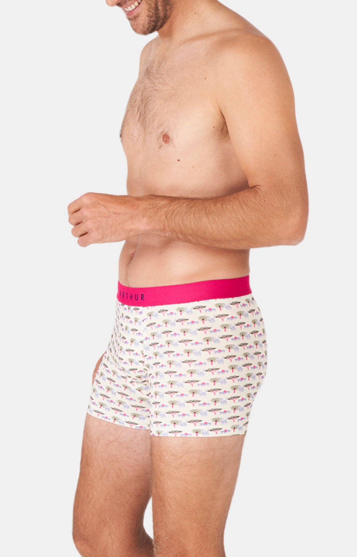 Boxer Comment savane 4